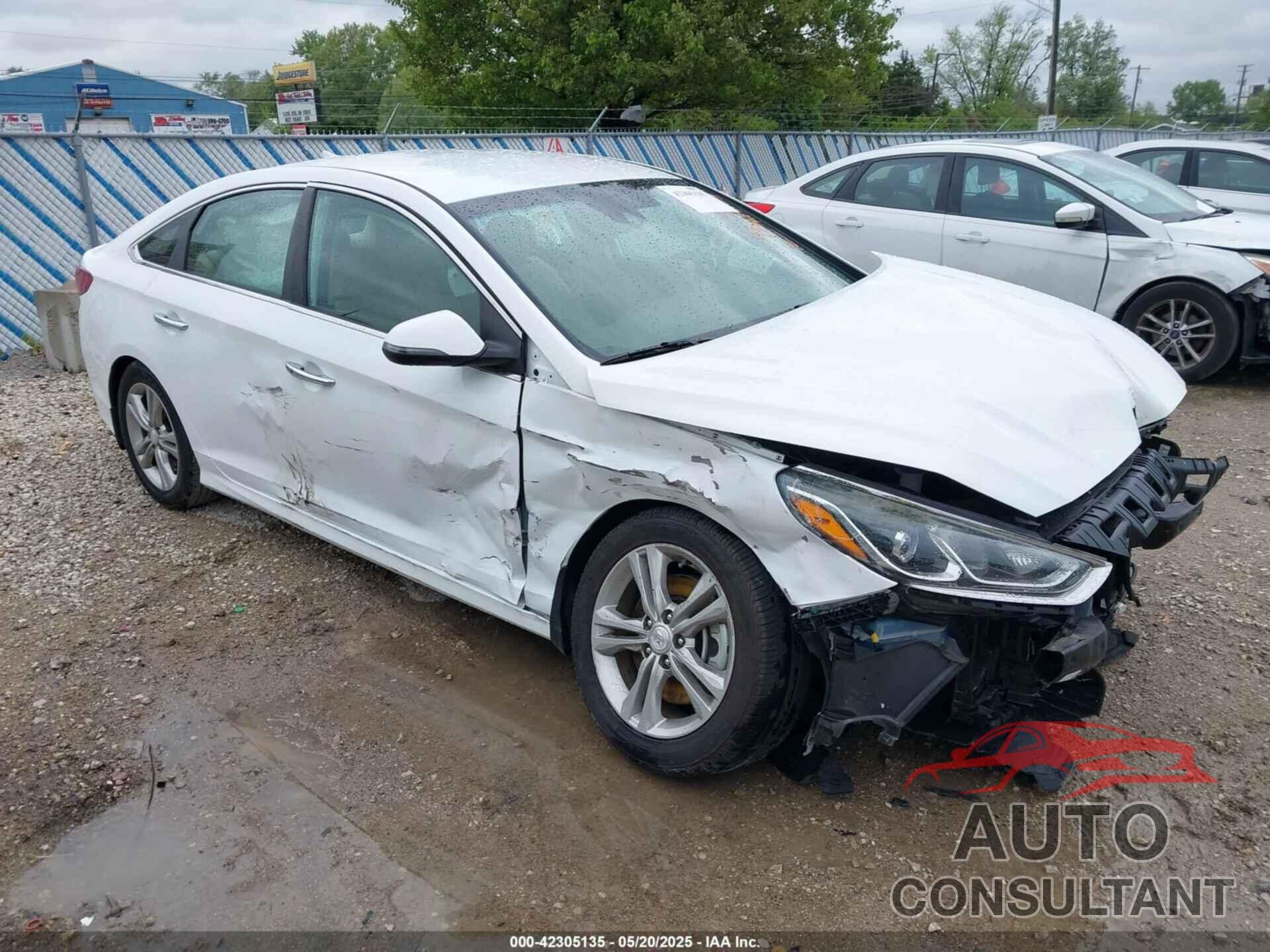HYUNDAI SONATA 2019 - 5NPE34AF0KH734540