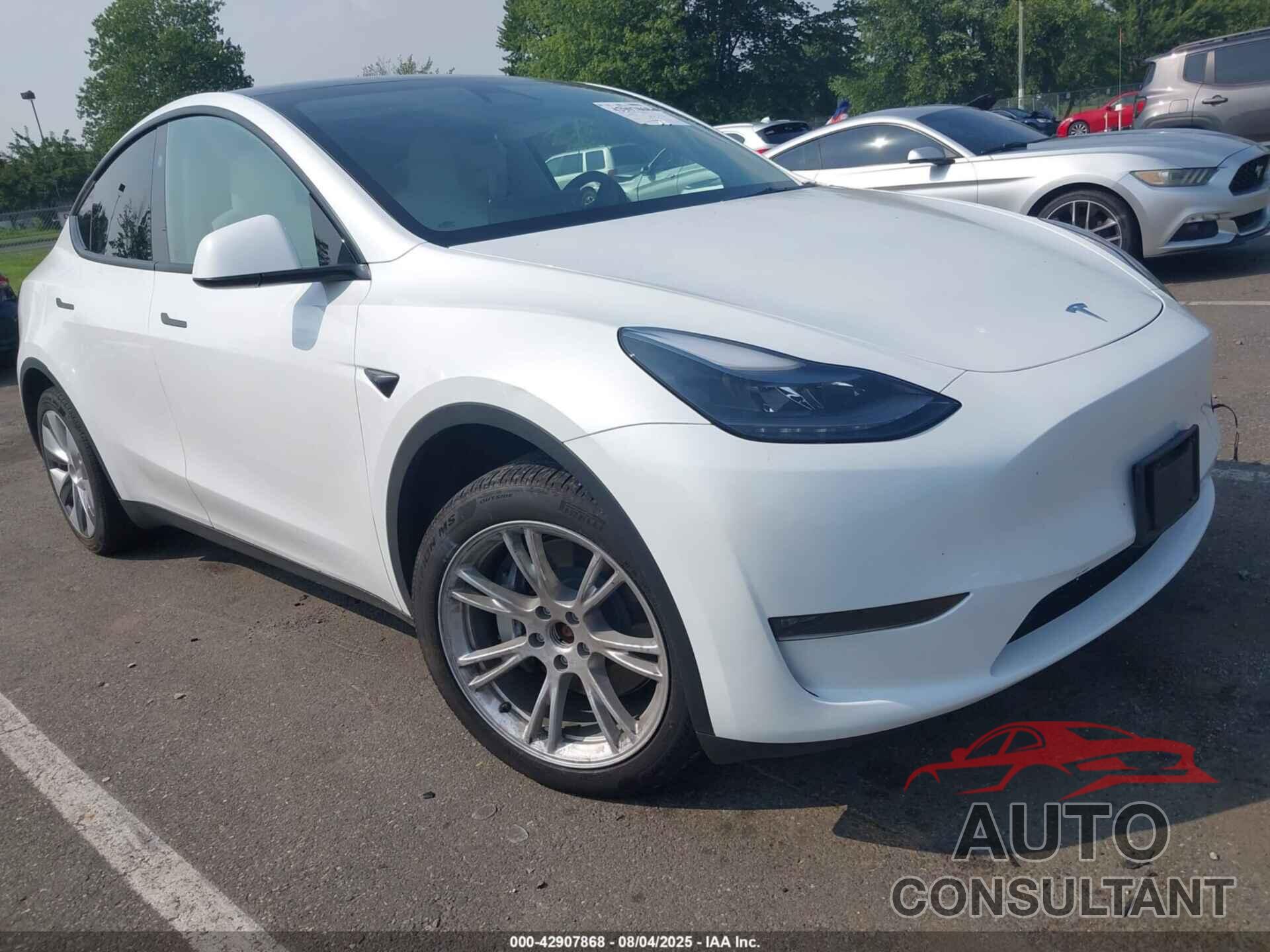 TESLA MODEL Y 2024 - 7SAYGDEE8RA275446
