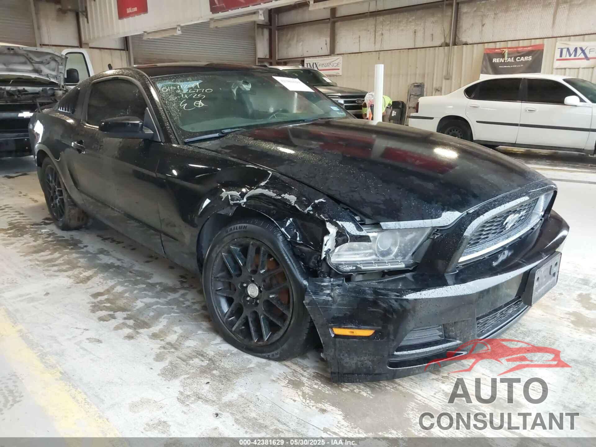 FORD MUSTANG 2014 - 1ZVBP8AM6E5326770