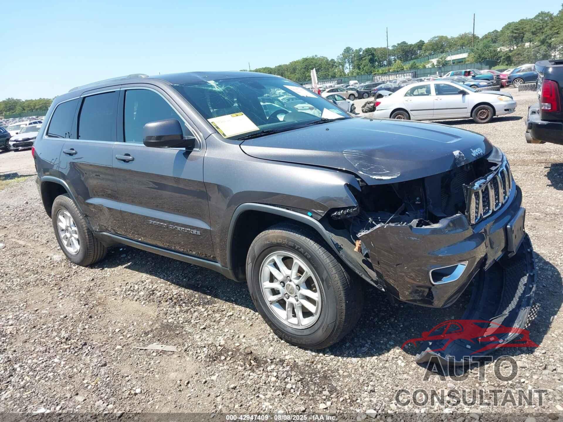 JEEP GRAND CHEROKEE 2019 - 1C4RJFAGXKC815696