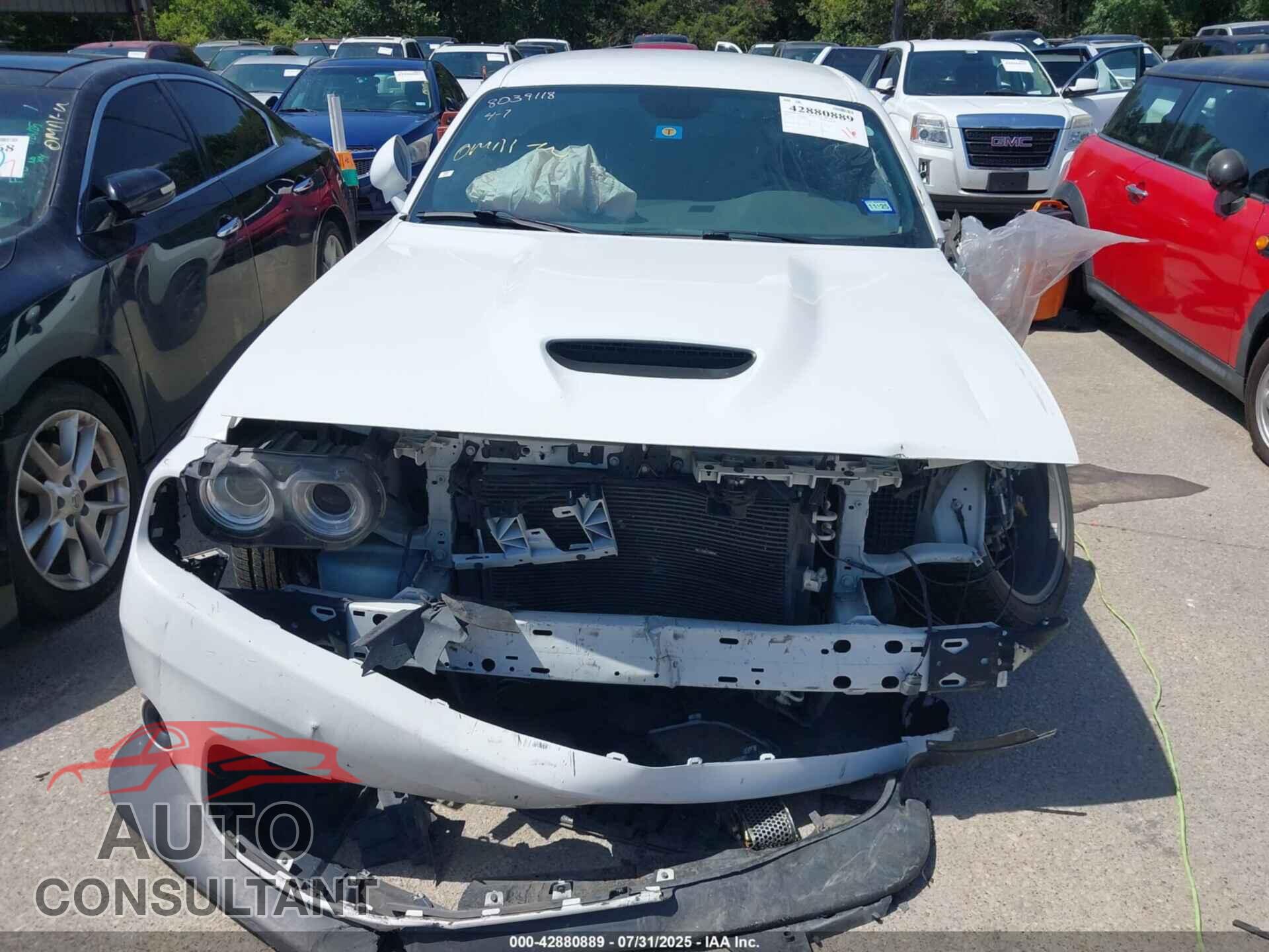 DODGE CHALLENGER 2019 - 2C3CDZBT3KH705293