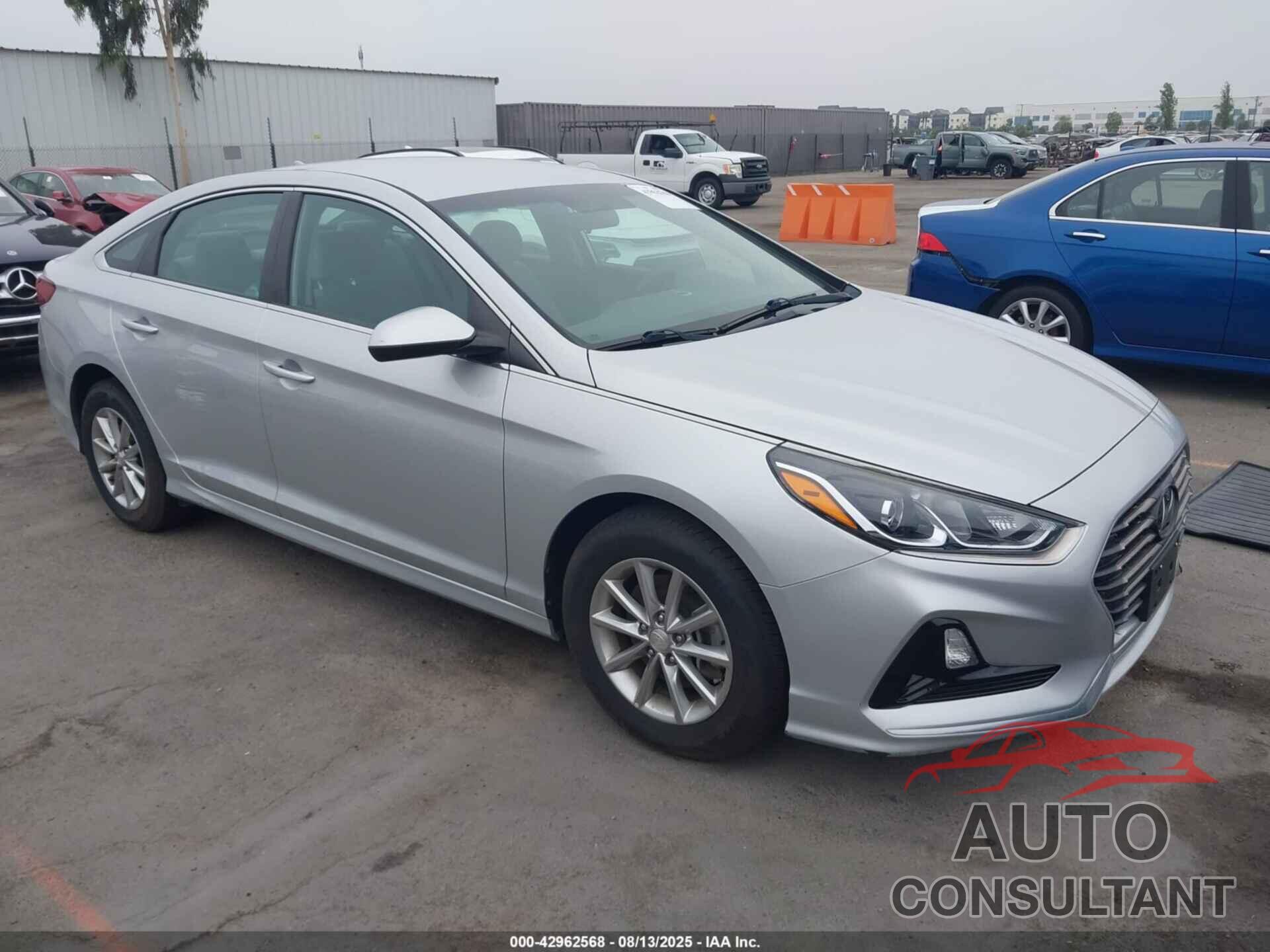 HYUNDAI SONATA 2019 - 5NPE24AF2KH782849