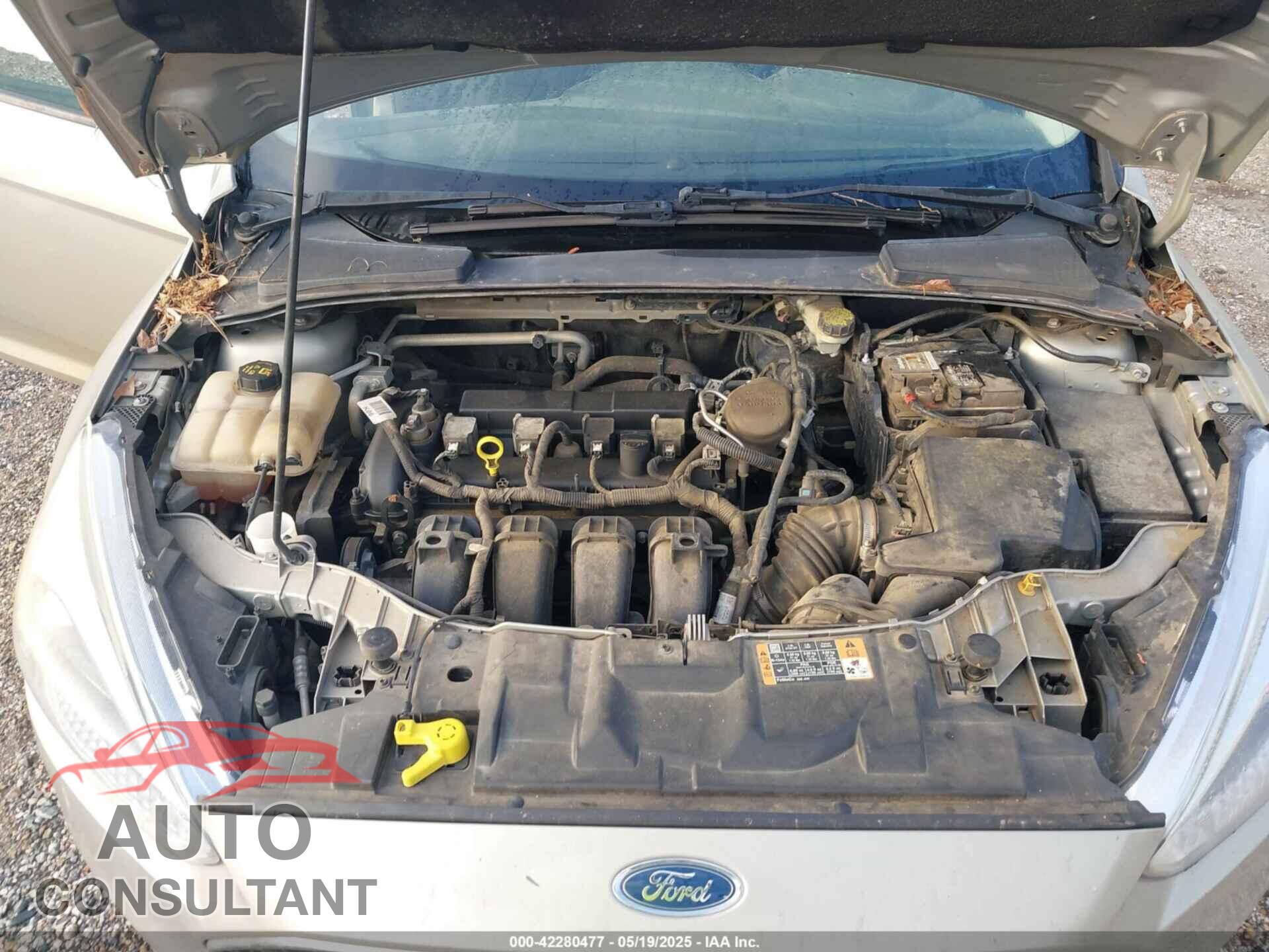 FORD FOCUS 2016 - 1FADP3K2XGL216532