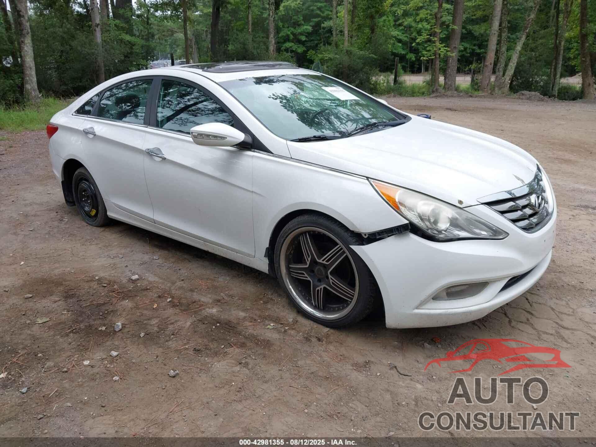 HYUNDAI SONATA 2013 - 5NPEC4AC1DH586794