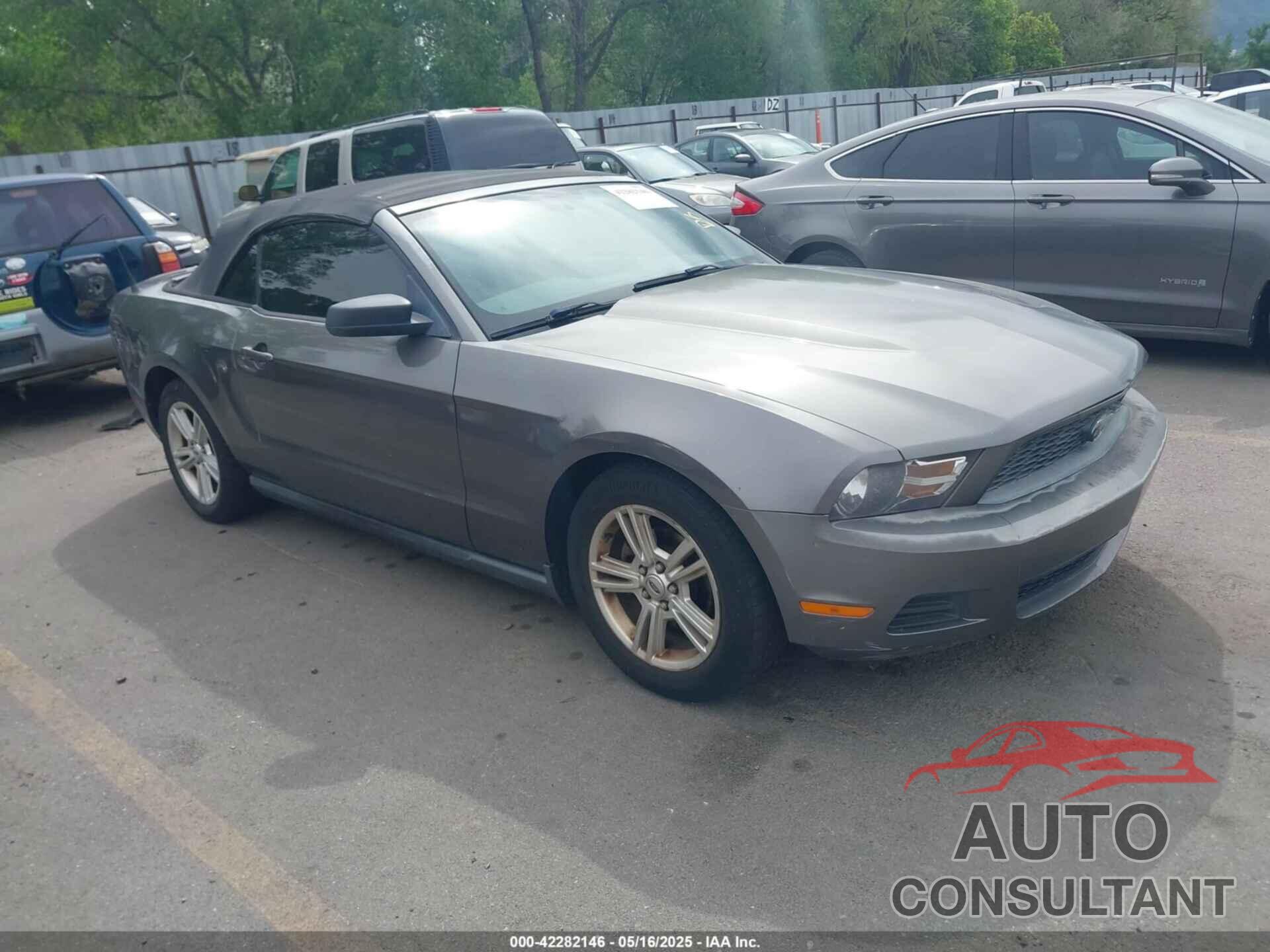 FORD MUSTANG 2010 - 1ZVBP8EN2A5175715