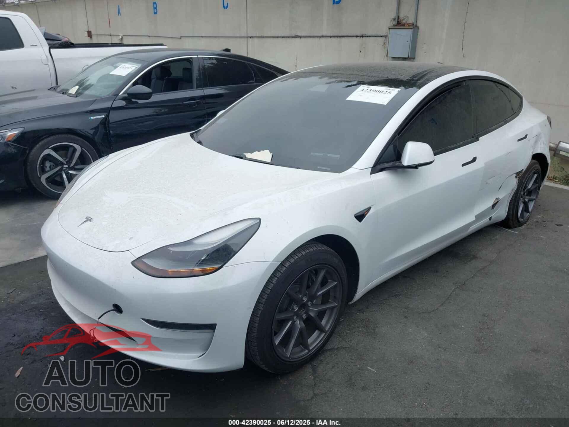 TESLA MODEL 3 2021 - 5YJ3E1EAXMF876961