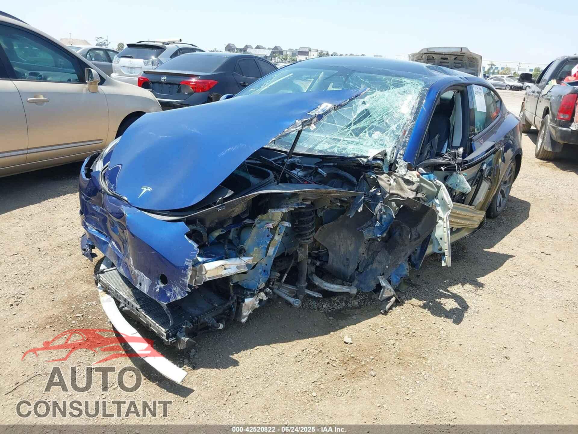 TESLA MODEL 3 2021 - 5YJ3E1EA5MF921496