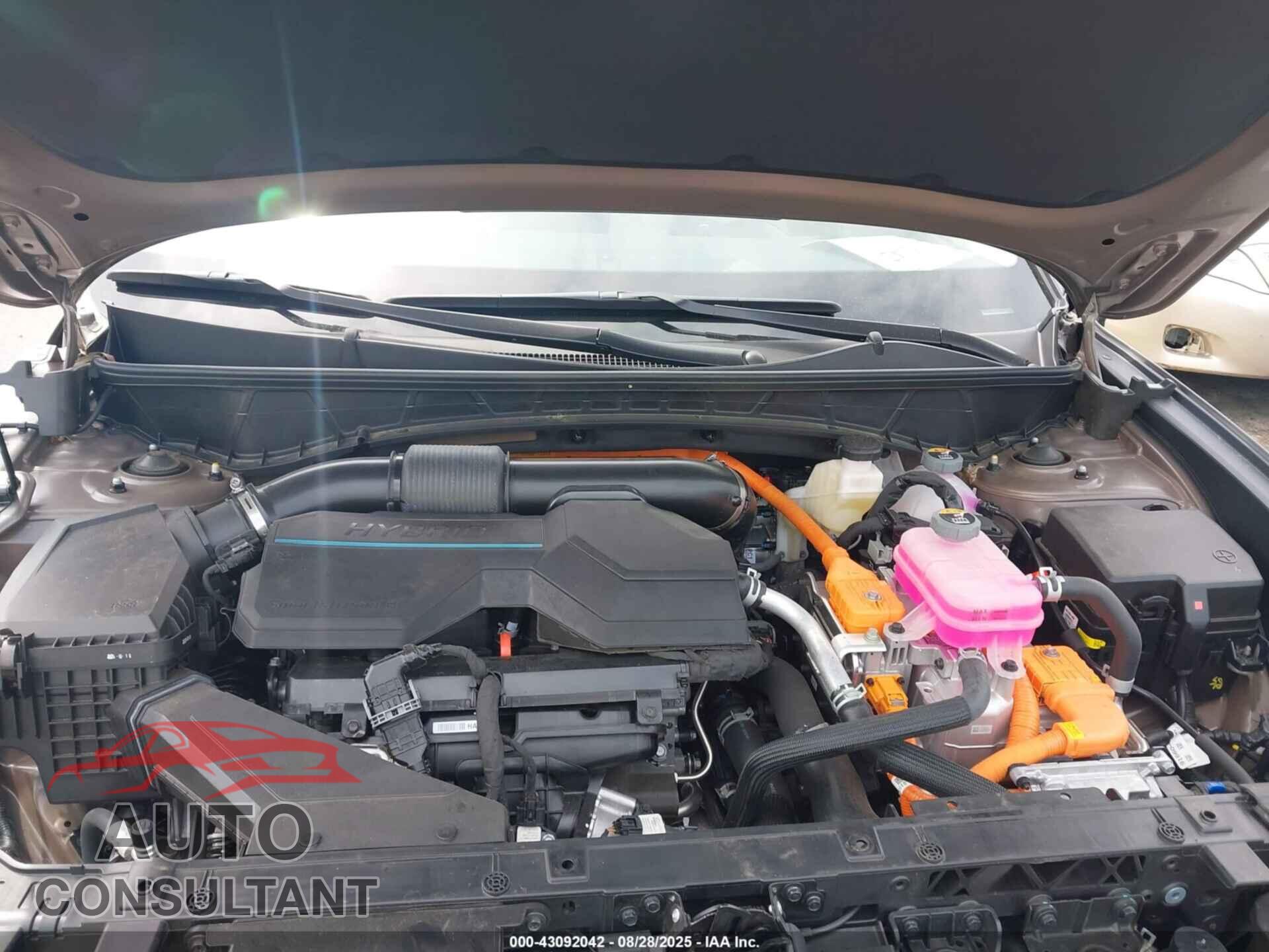 HYUNDAI TUCSON HYBRID 2025 - KM8JCDD10SU284372