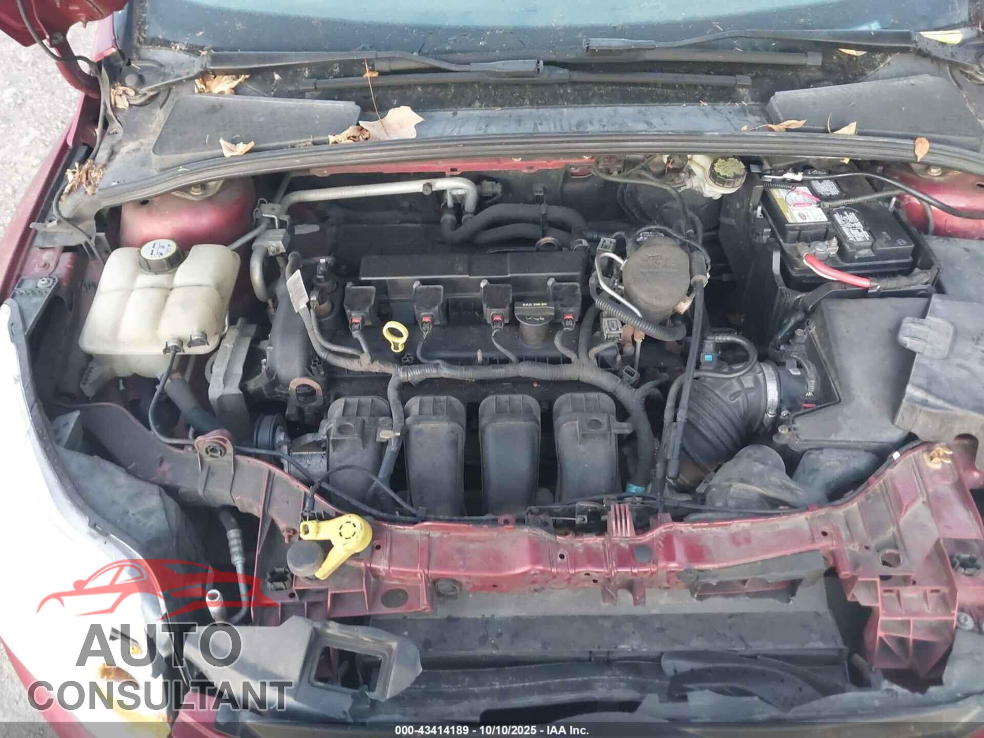 FORD FOCUS 2013 - 1FADP3F2XDL332500