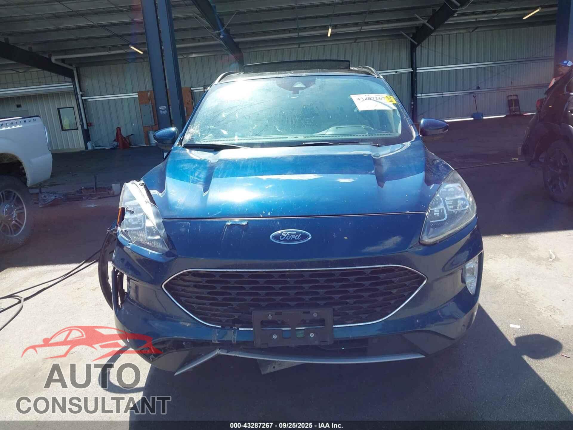FORD ESCAPE 2020 - 1FMCU9J96LUA36092