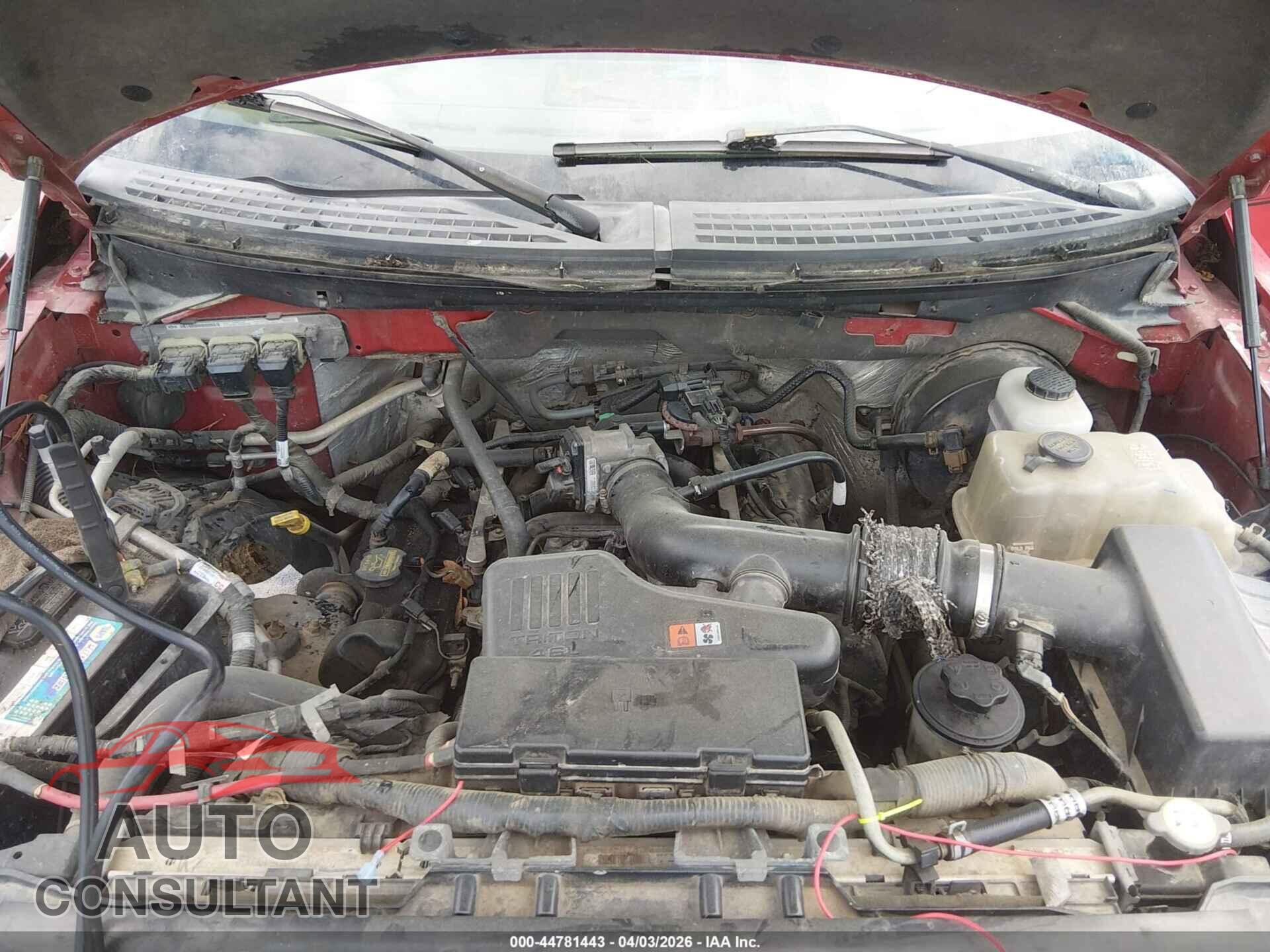 FORD F-150 2010 - 1FTMF1CWXAFD83496