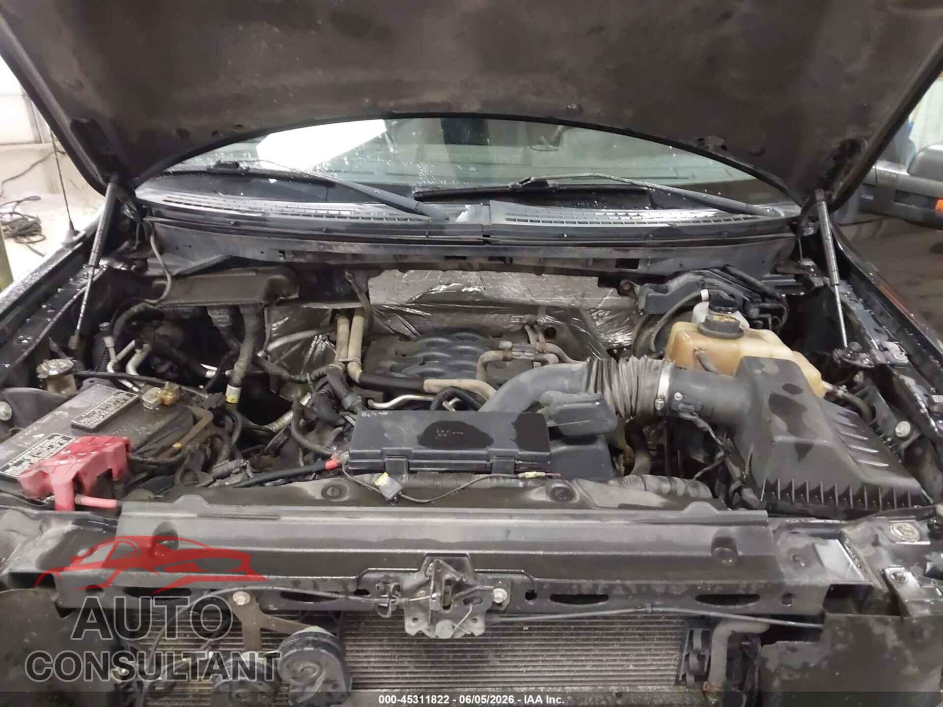 FORD F-150 2011 - 1FTFX1EF6BFB36657