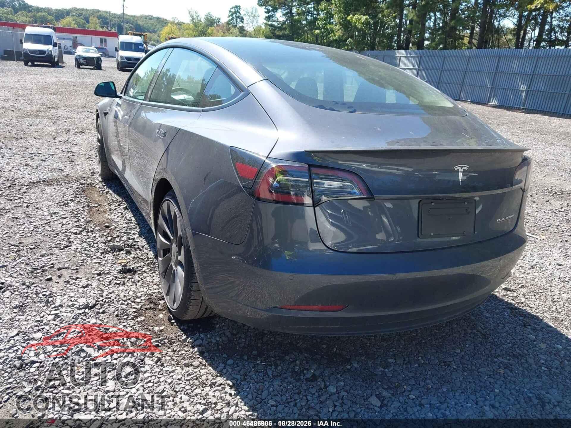 TESLA MODEL 3 2021 - 5YJ3E1EC4MF036983