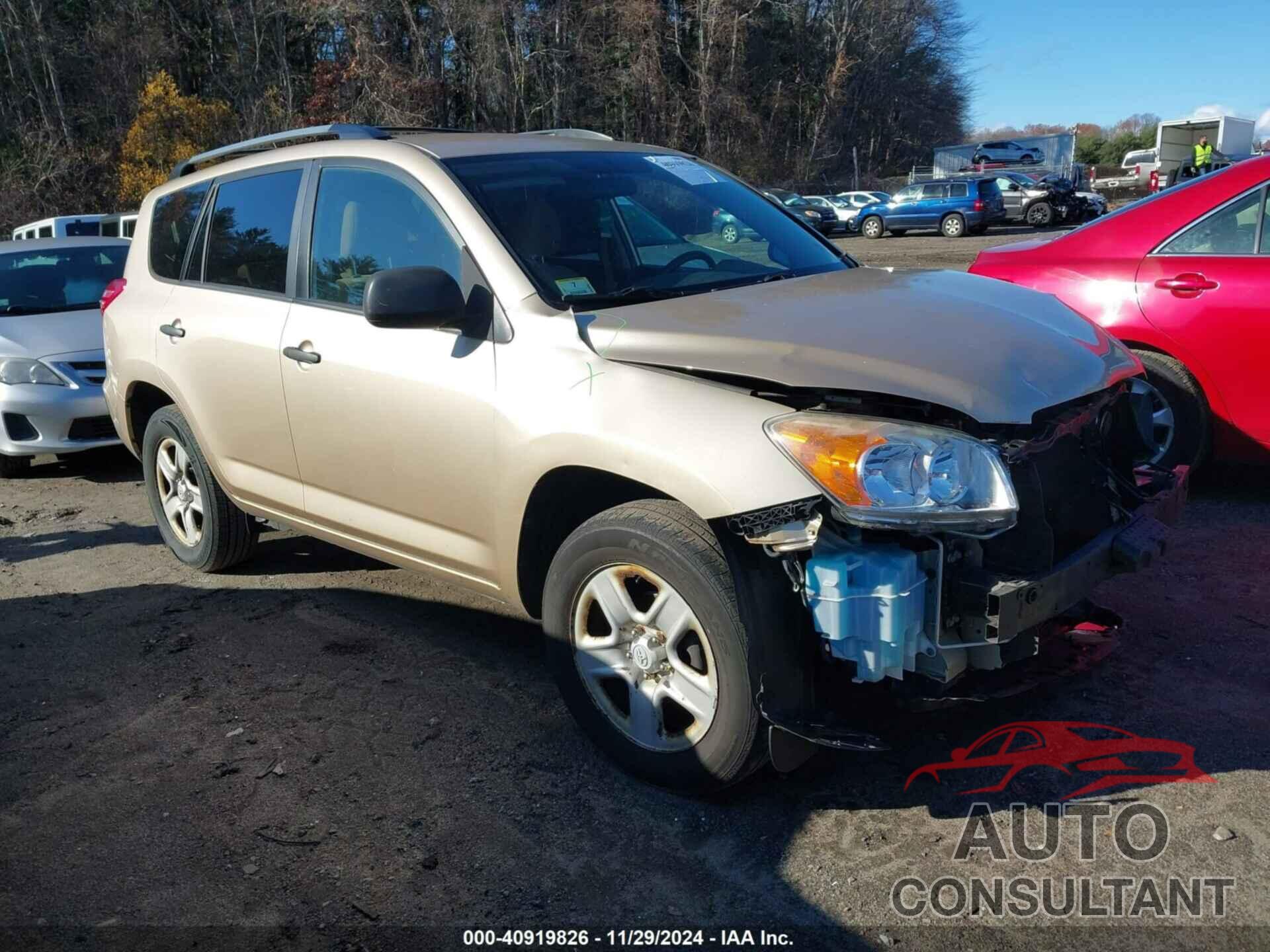 TOYOTA RAV4 2010 - 2T3BF4DVXAW031113