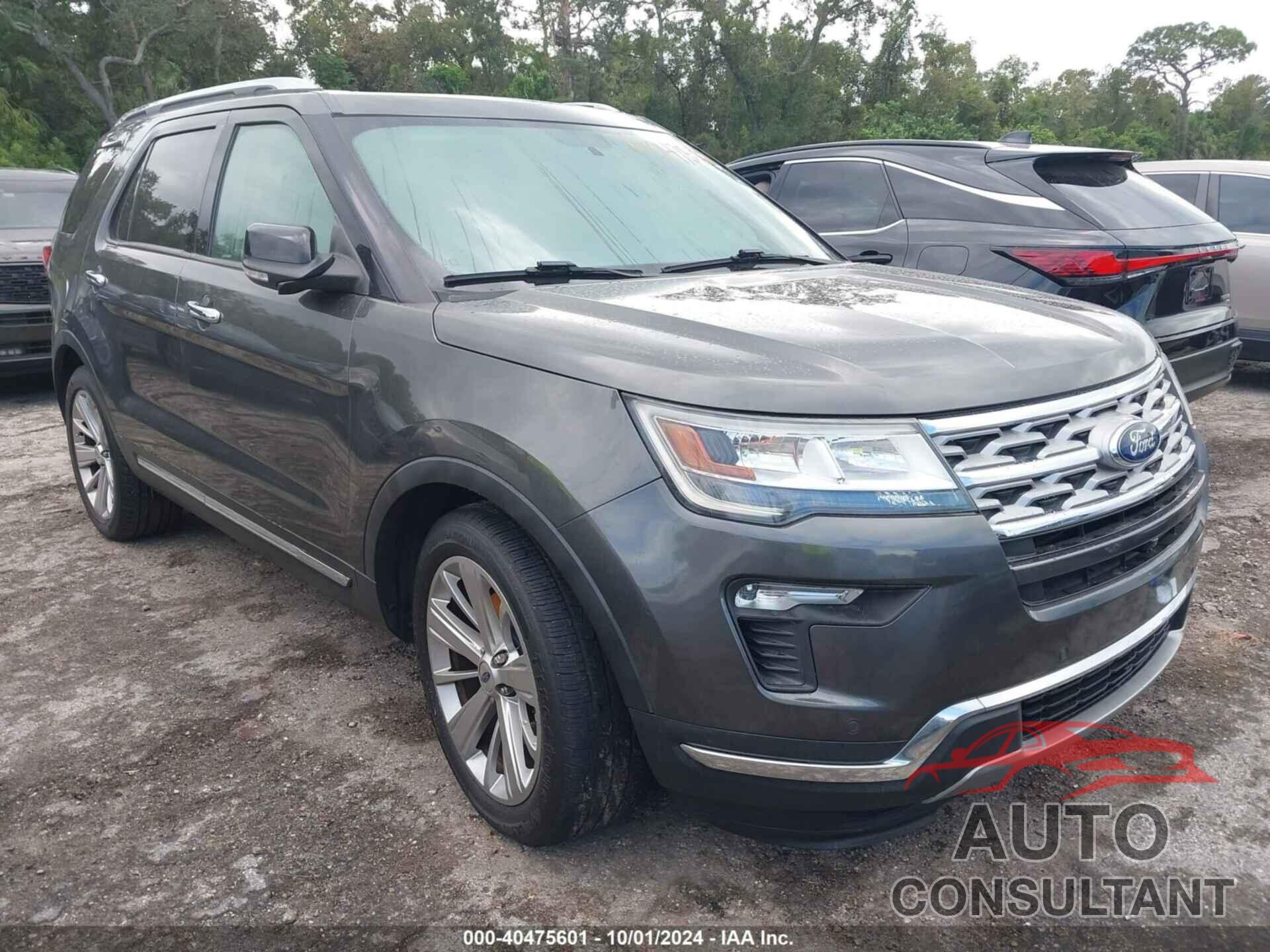 FORD EXPLORER 2019 - 1FM5K7F81KGA10774