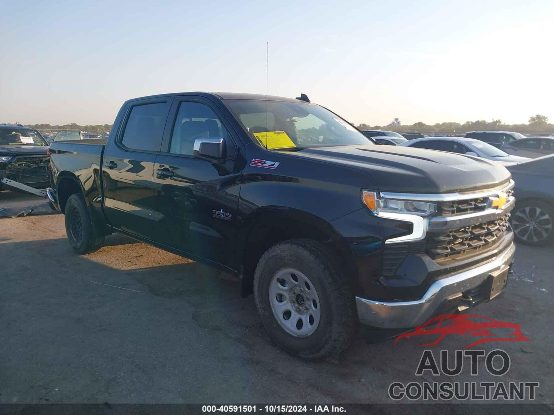 CHEVROLET SILVERADO 1500 2024 - 2GCUDDED7R1134370