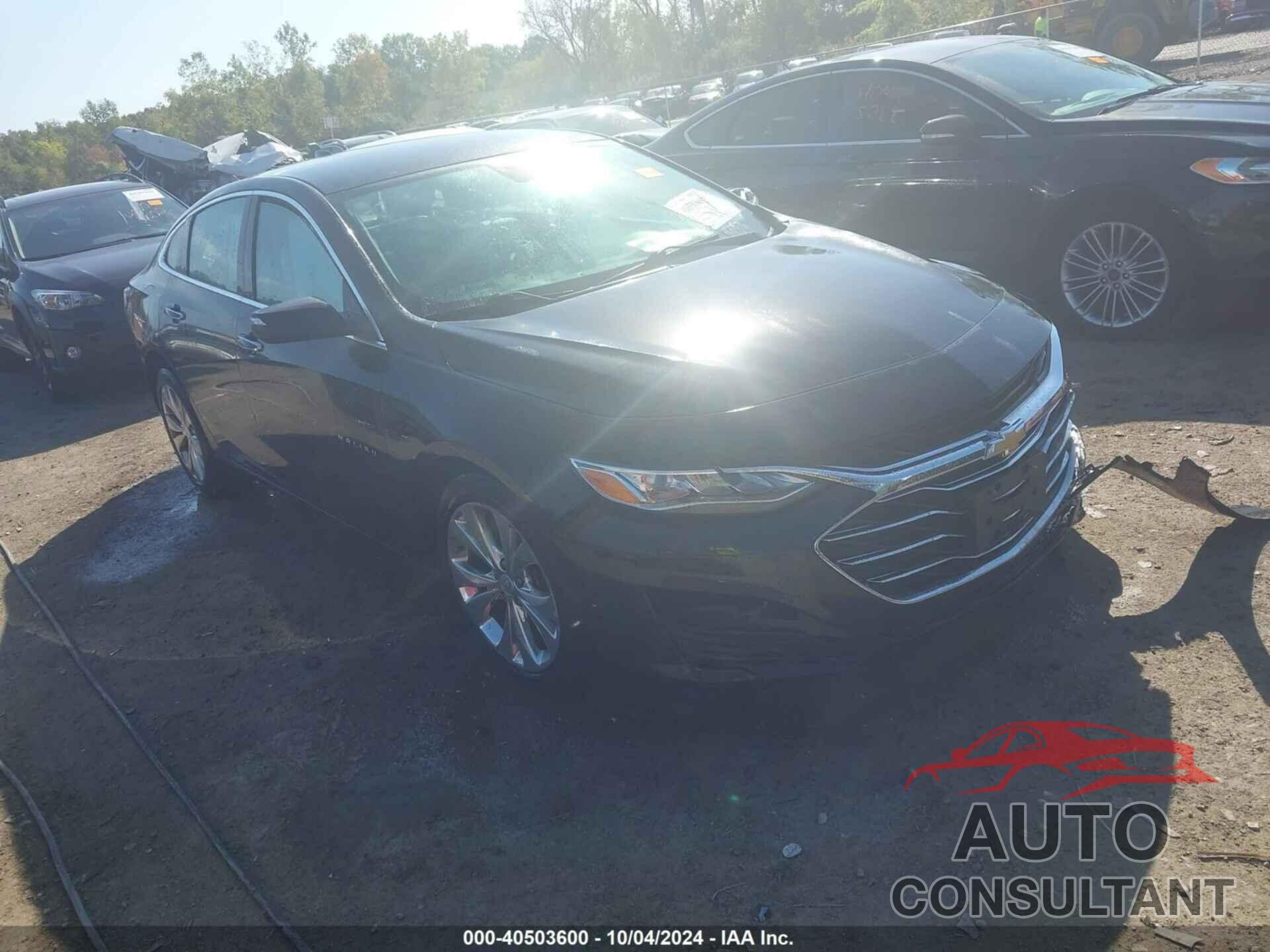 CHEVROLET MALIBU 2019 - 1G1ZE5SX9KF211433