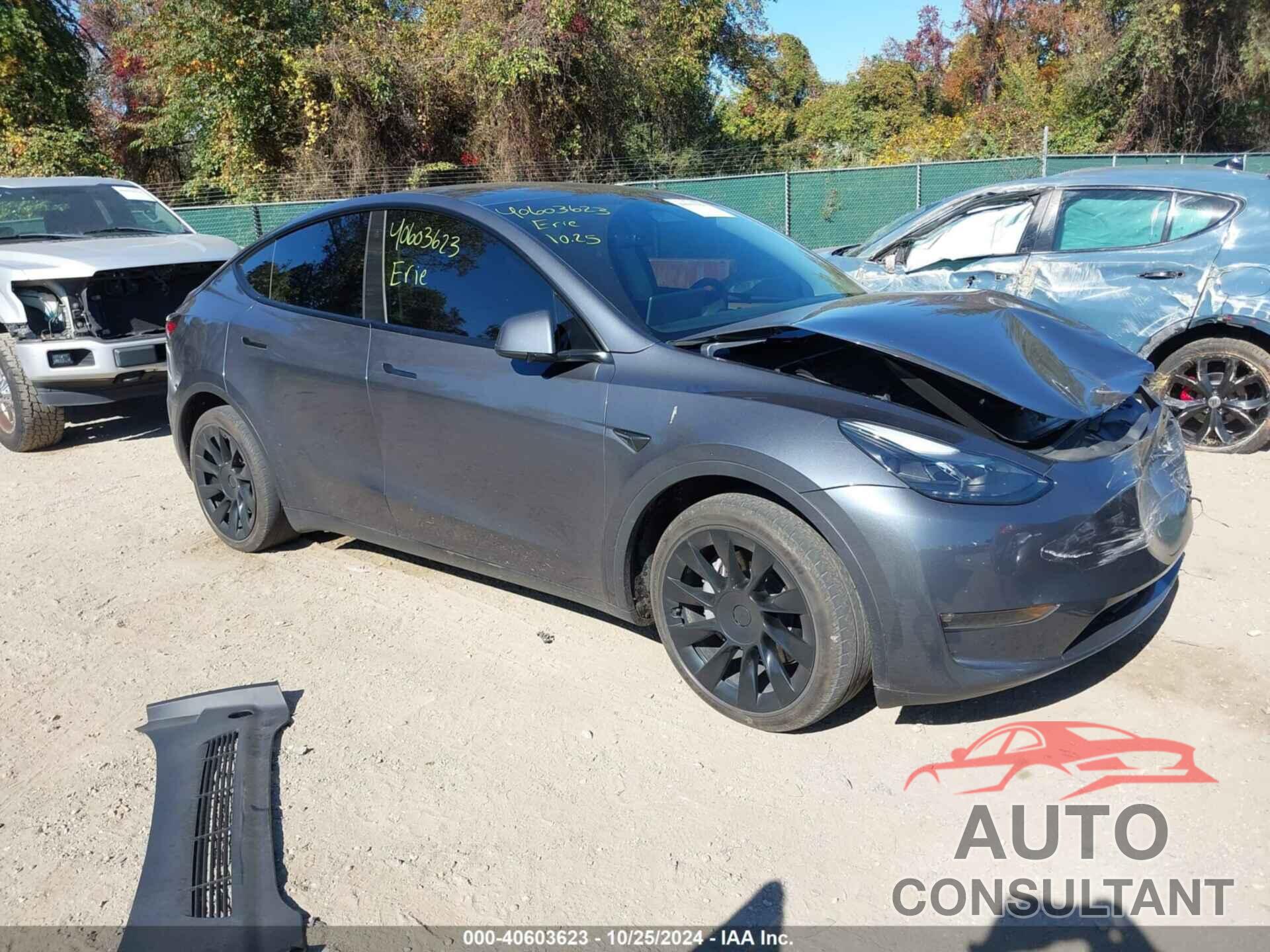 TESLA MODEL Y 2023 - 7SAYGAEE8PF589368