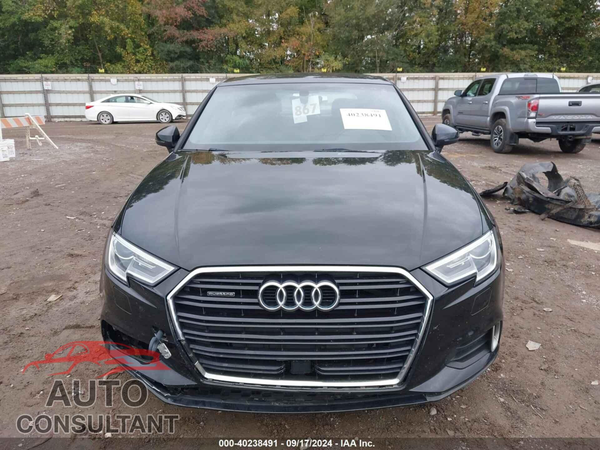 AUDI A3 2019 - WAUBEGFF6KA116473