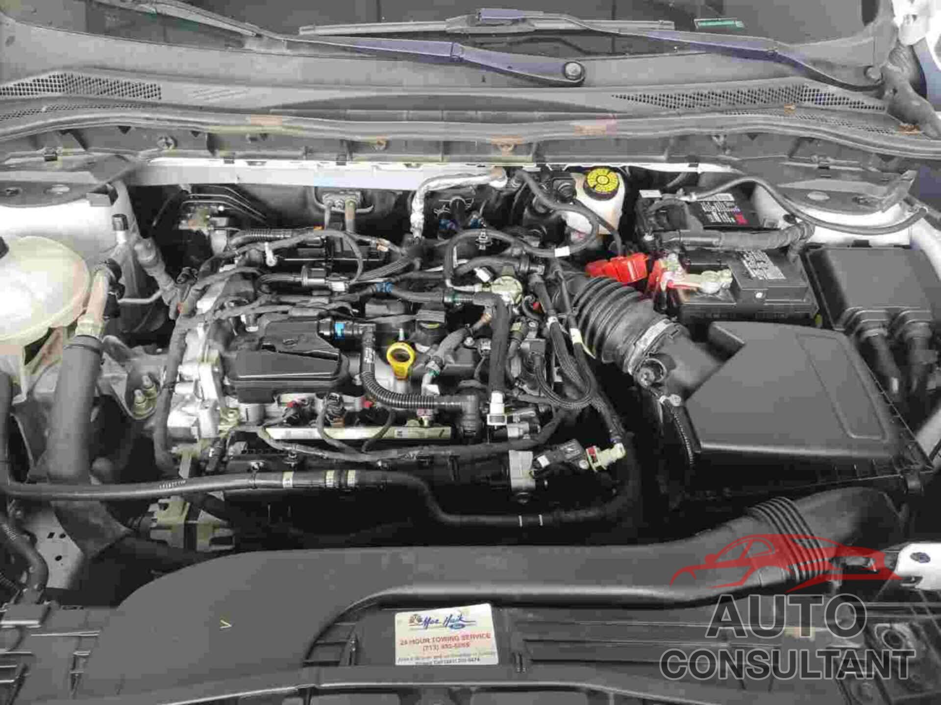 FORD ESCAPE 2021 - 1FMCU0G65MUA68946