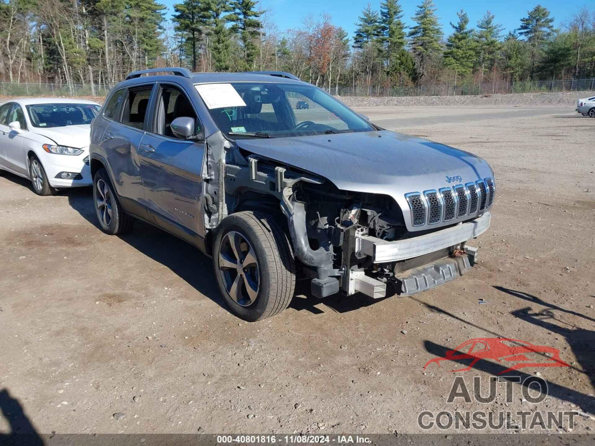 JEEP CHEROKEE 2019 - 1C4PJMDX5KD407060