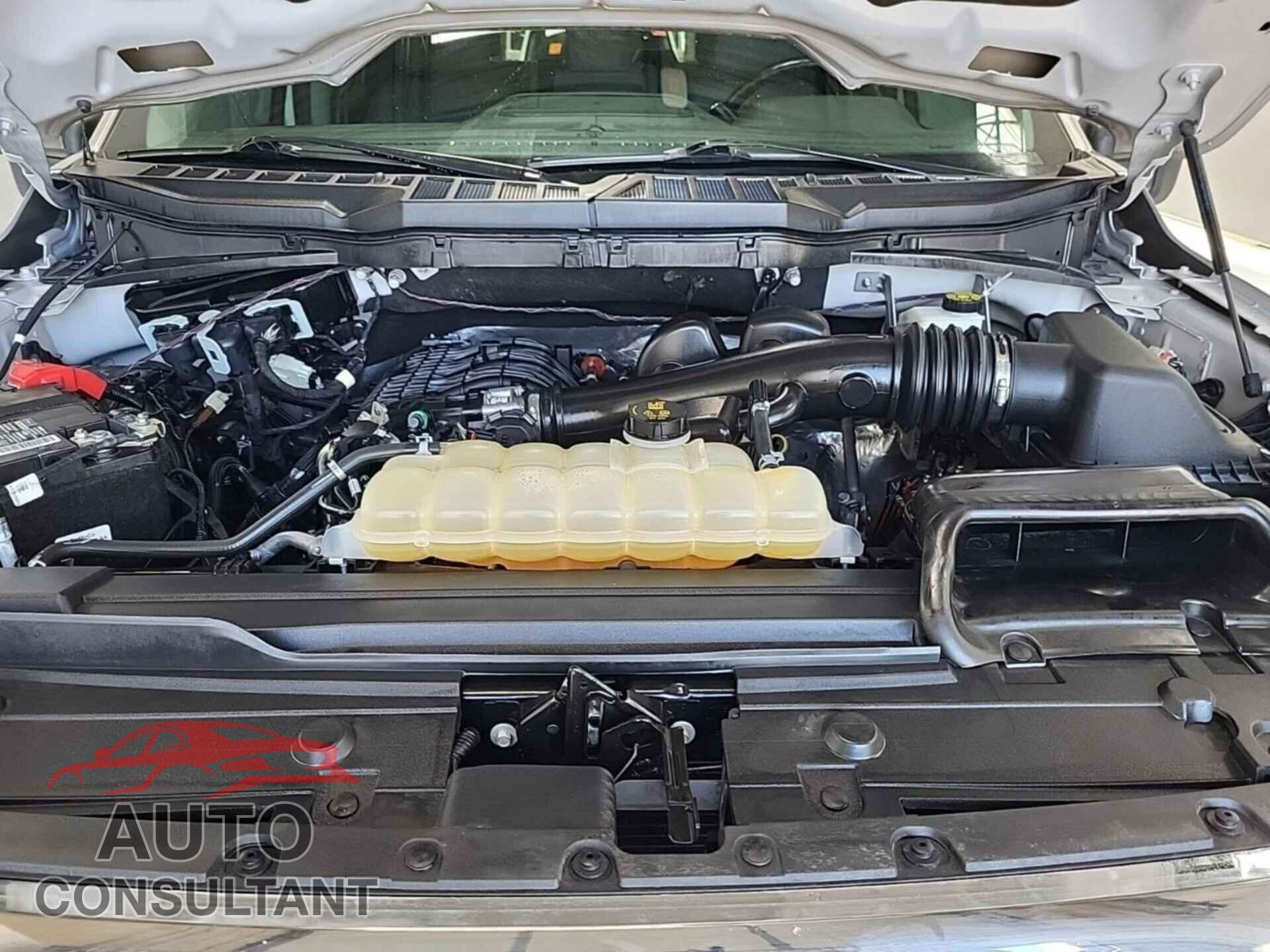 FORD F150 2021 - 1FTEW1CB2MKD42065
