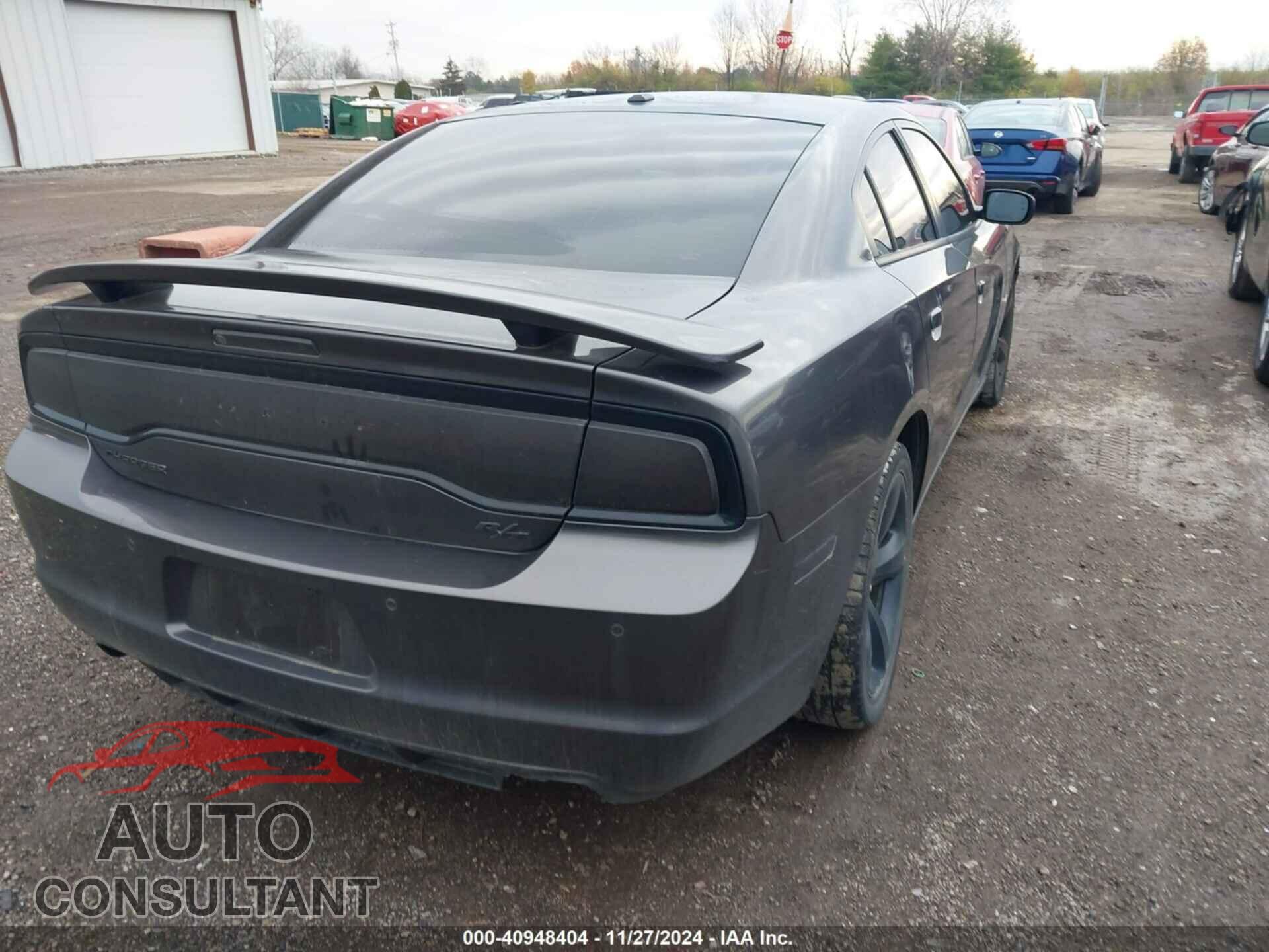 DODGE CHARGER 2013 - 2C3CDXCT3DH554946