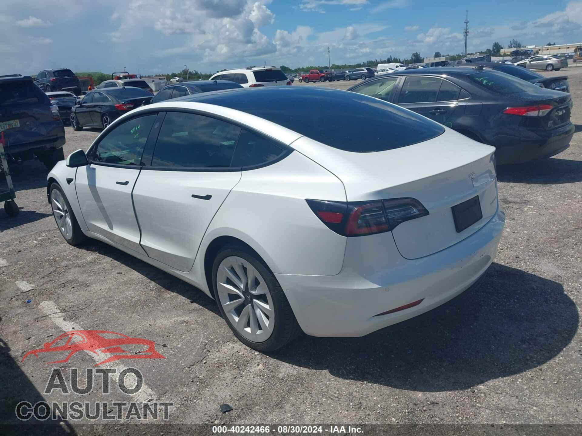 TESLA MODEL 3 2021 - 5YJ3E1EB9MF034251