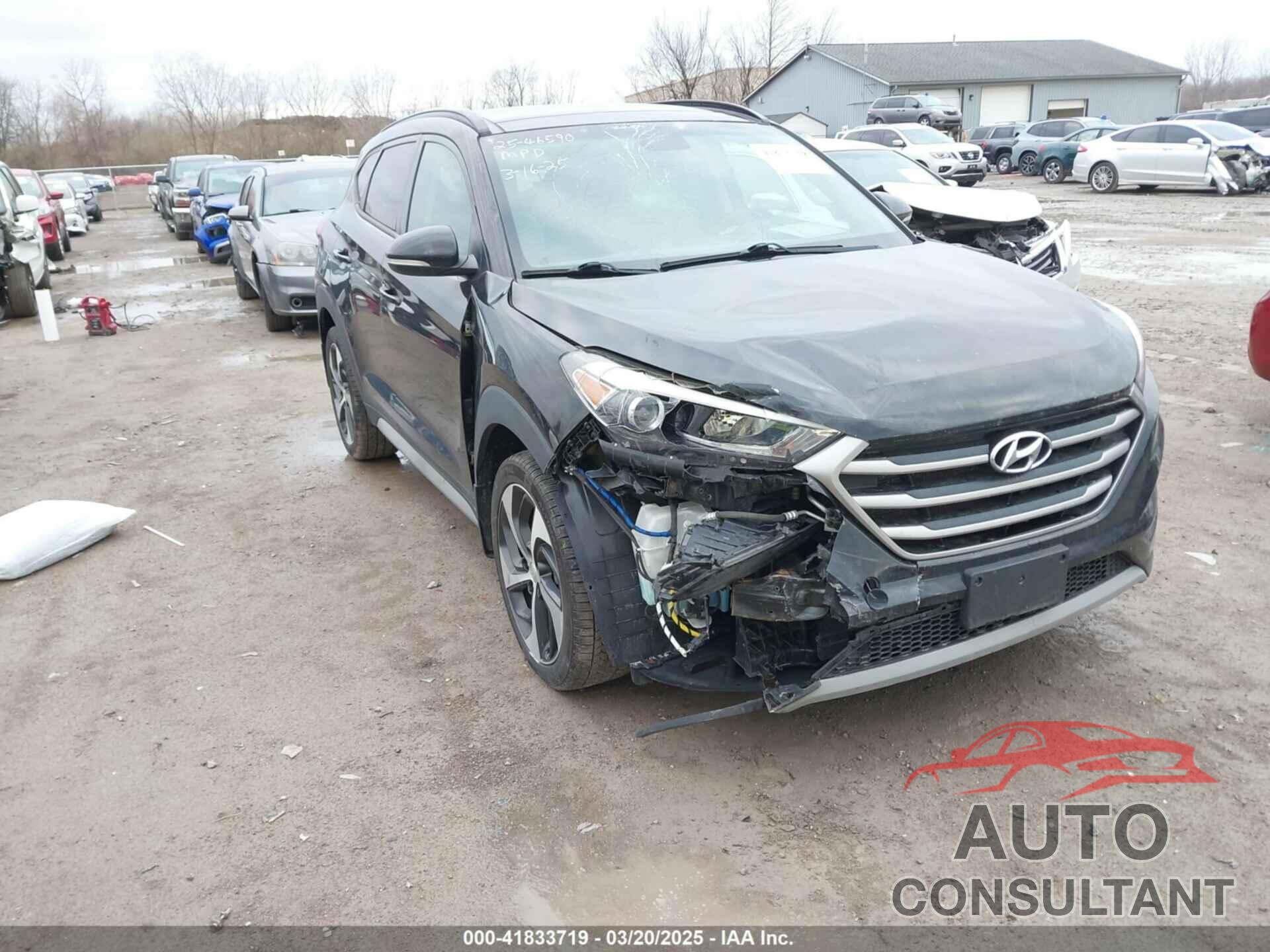 HYUNDAI TUCSON 2017 - KM8J3CA27HU569425
