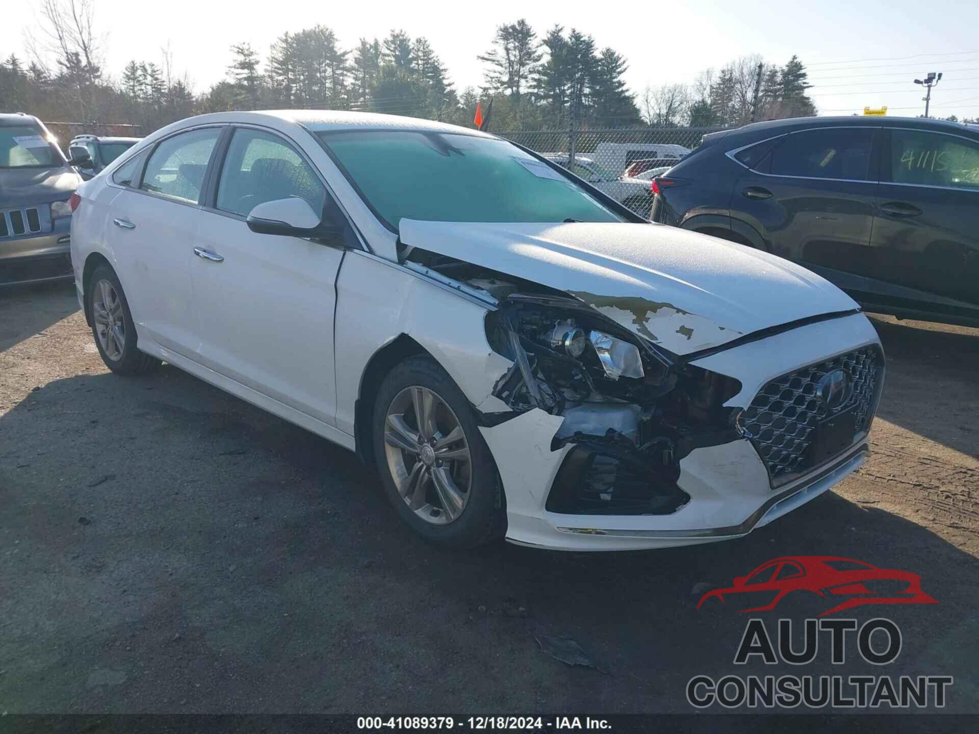 HYUNDAI SONATA 2019 - 5NPE34AF0KH798898