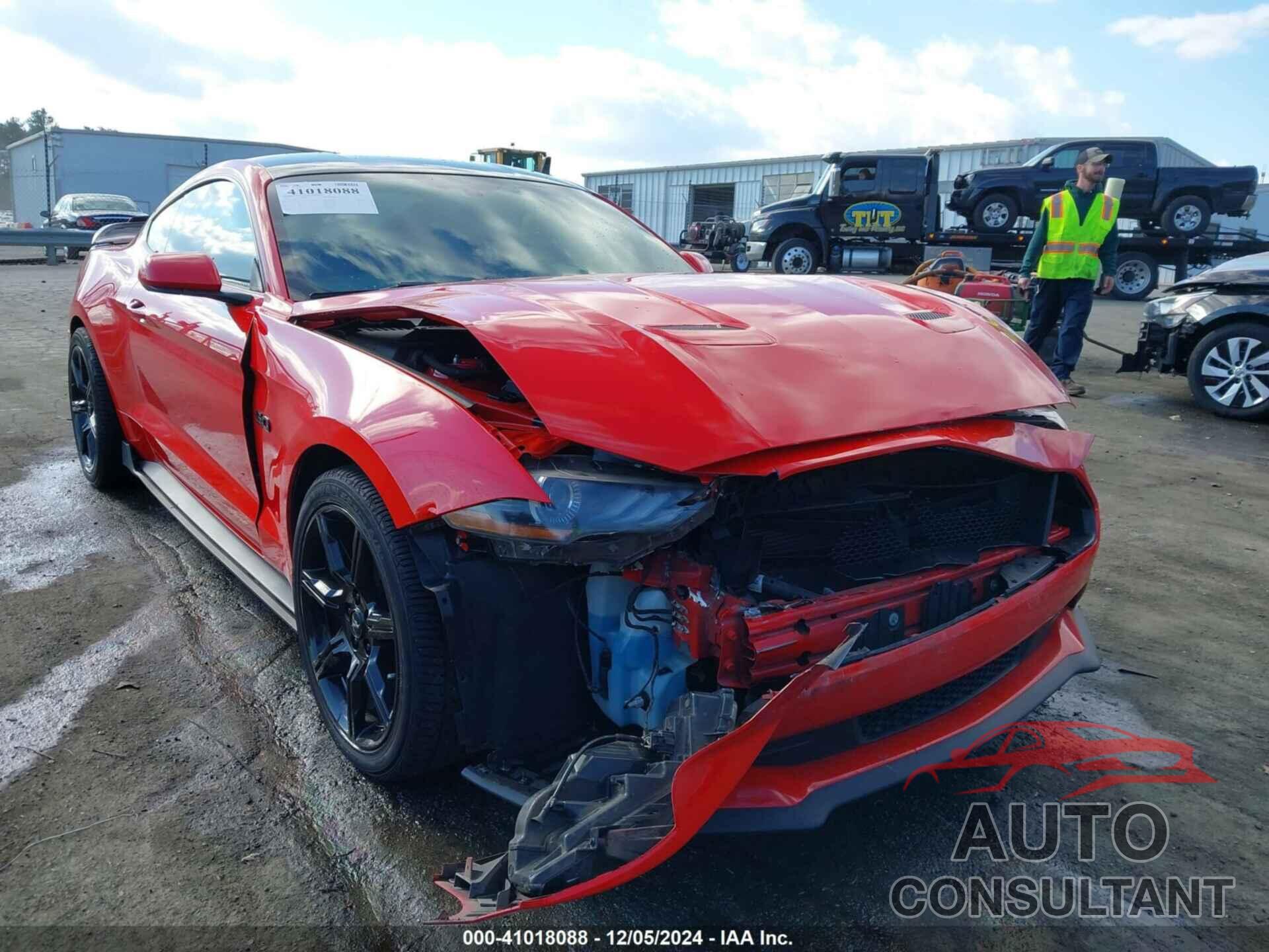 FORD MUSTANG 2019 - 1FA6P8CF1K5166611