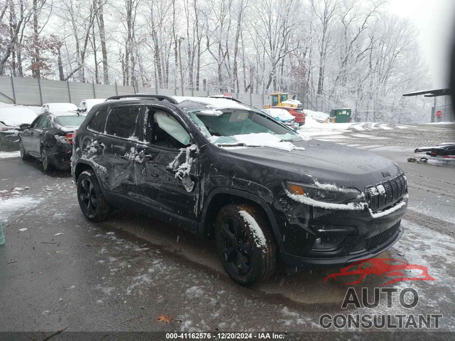 JEEP CHEROKEE 2019 - 1C4PJMLB0KD485820