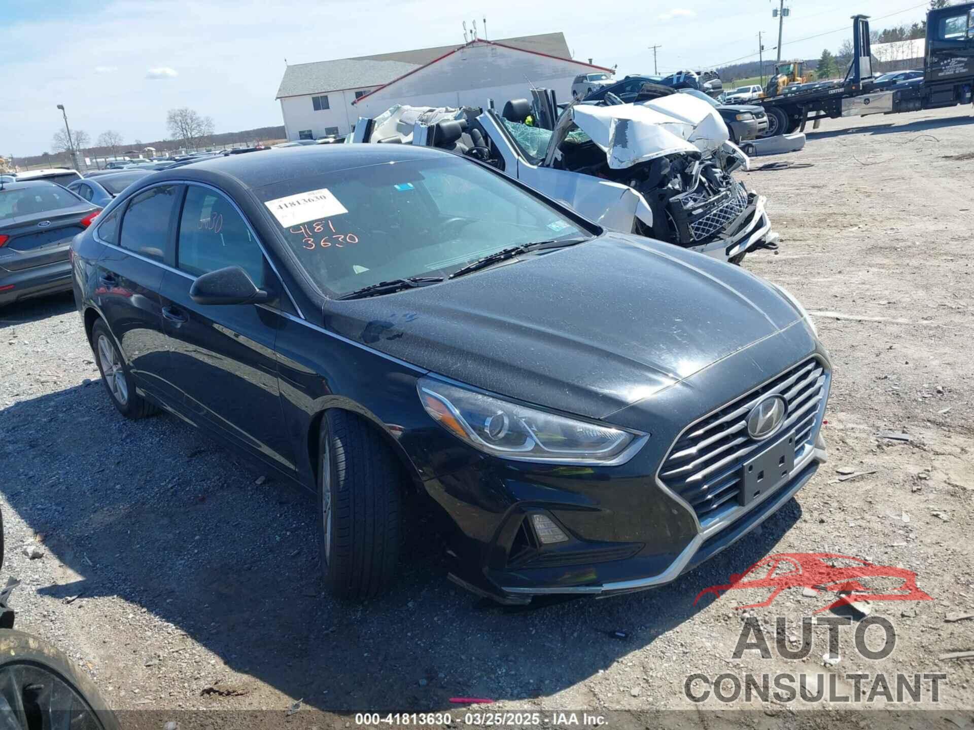 HYUNDAI SONATA 2019 - 5NPE24AF4KH743471