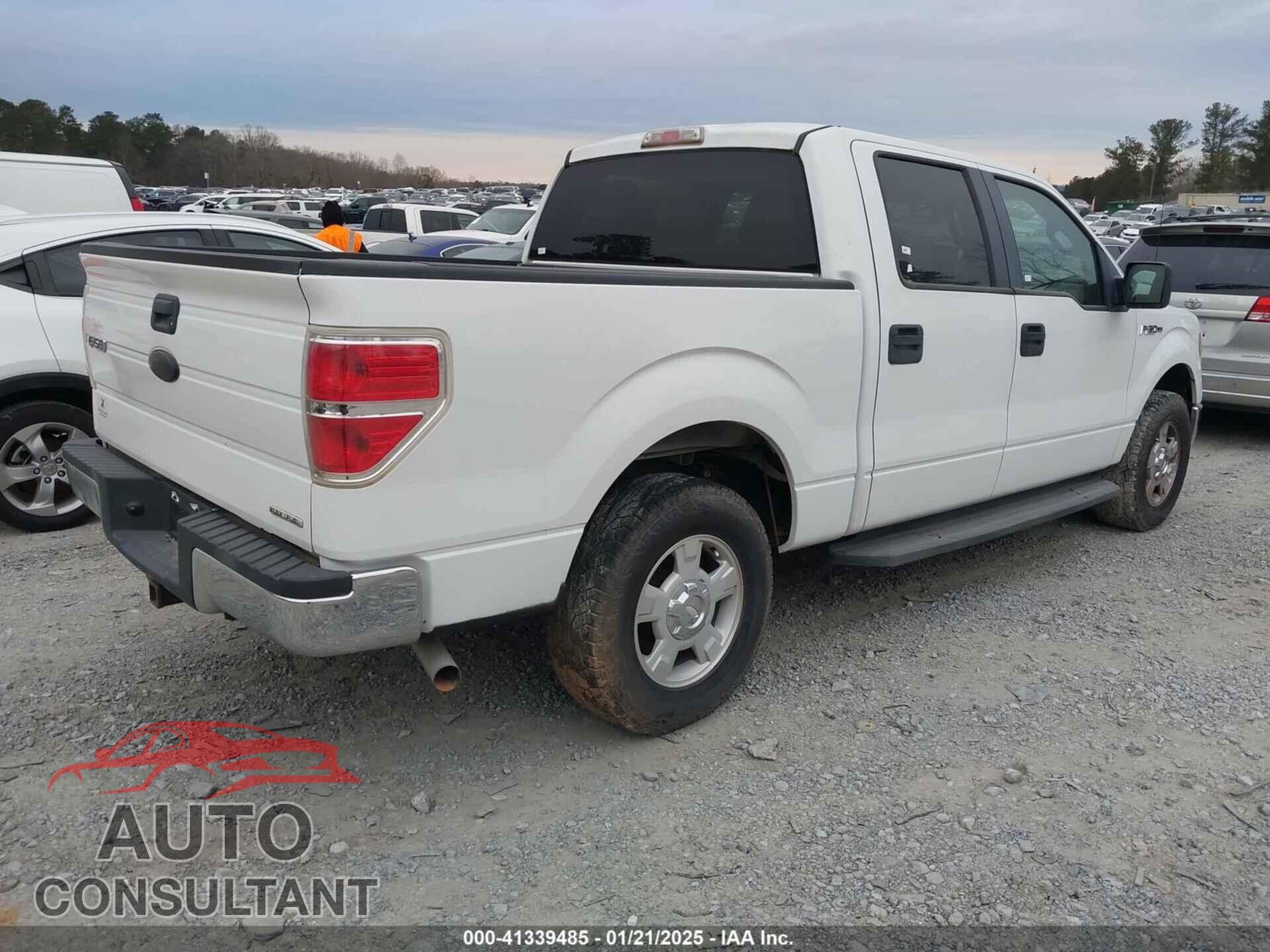FORD F-150 2011 - 1FTEW1CM8BFB85925