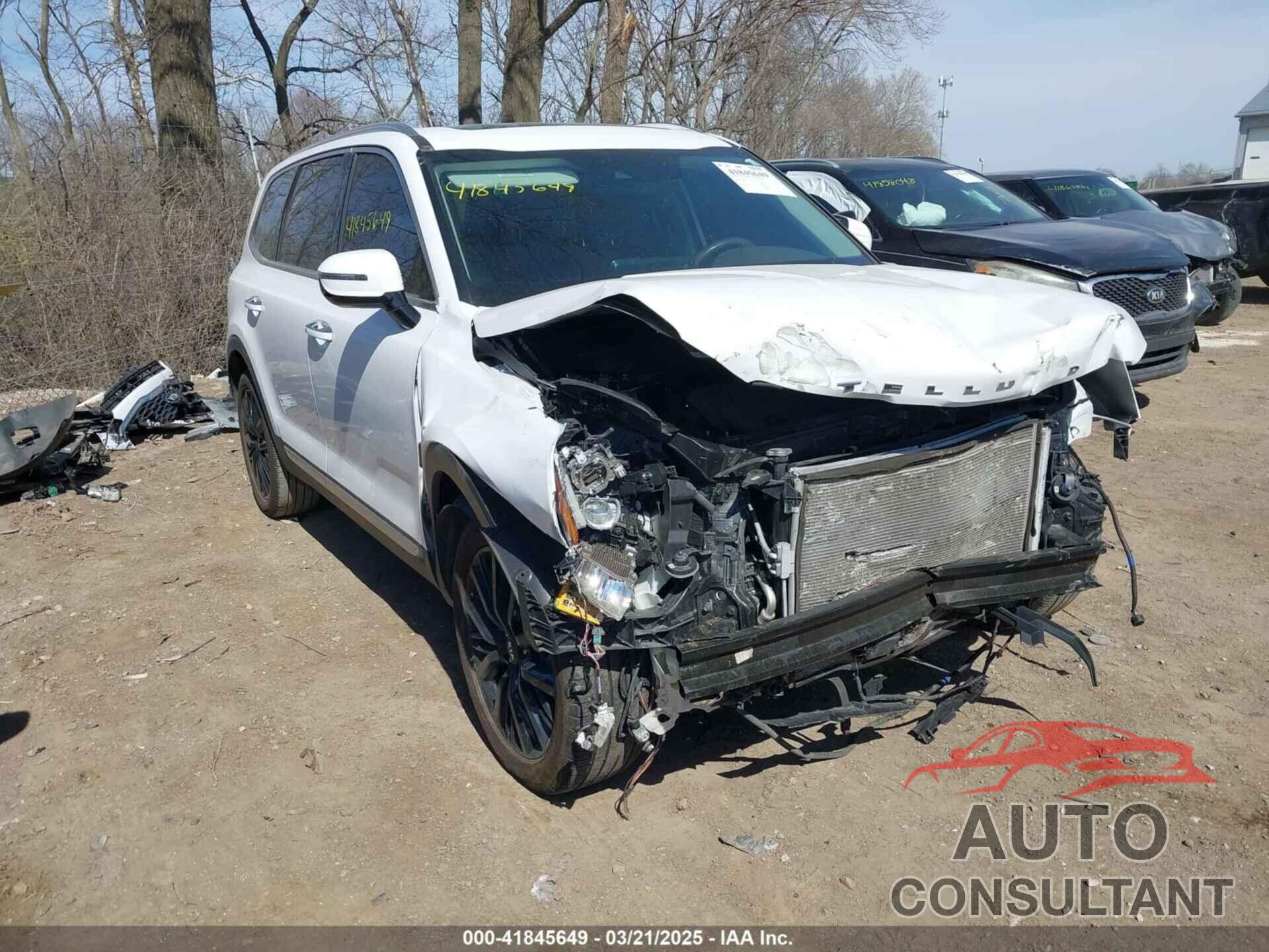 KIA TELLURIDE 2021 - 5XYP54HC7MG167929