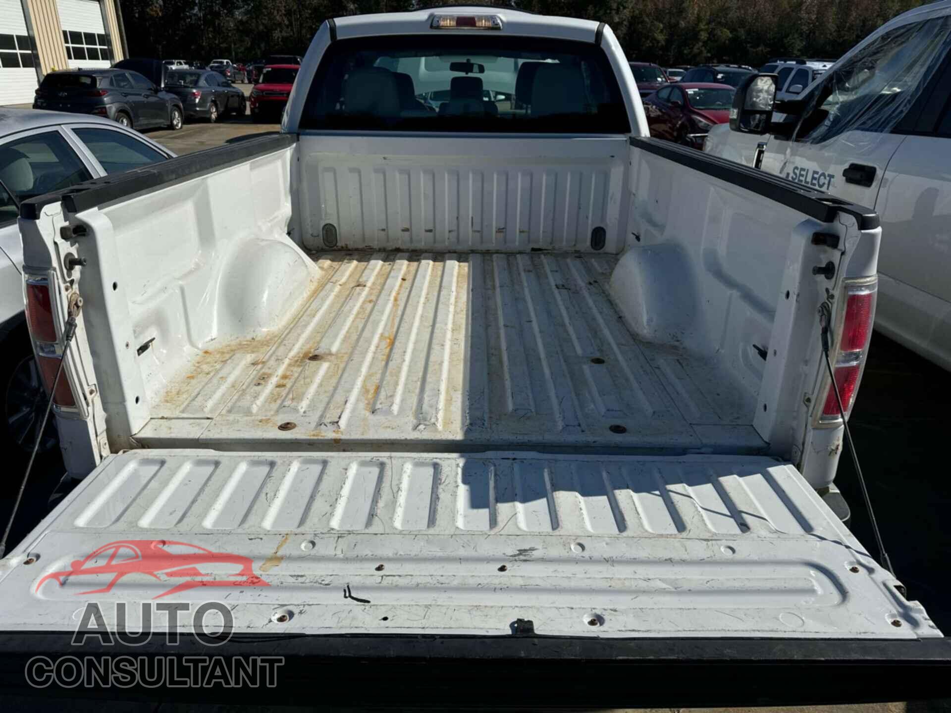 FORD F150 2013 - 1FTFX1EF0DFB69351