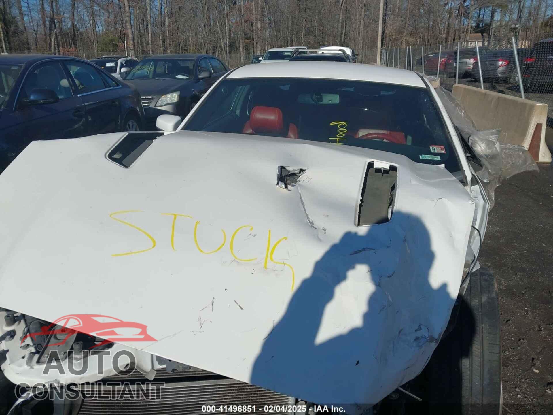 FORD MUSTANG 2013 - 1ZVBP8CF7D5205193