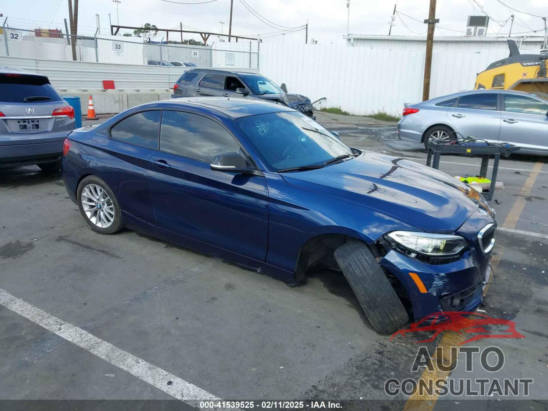 BMW 228I 2016 - WBA1F9C55GV545295