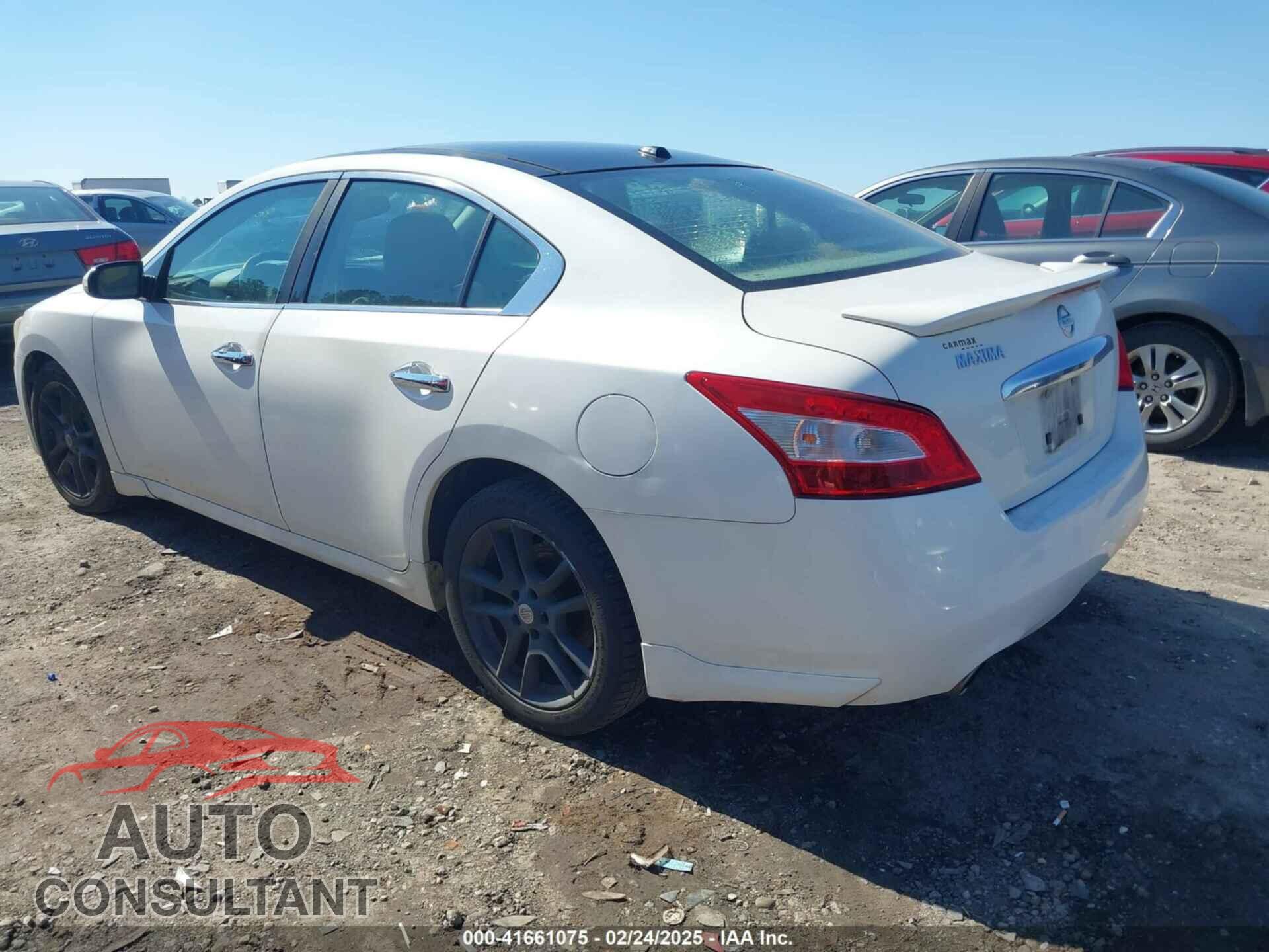 NISSAN MAXIMA 2011 - 1N4AA5AP7BC856462