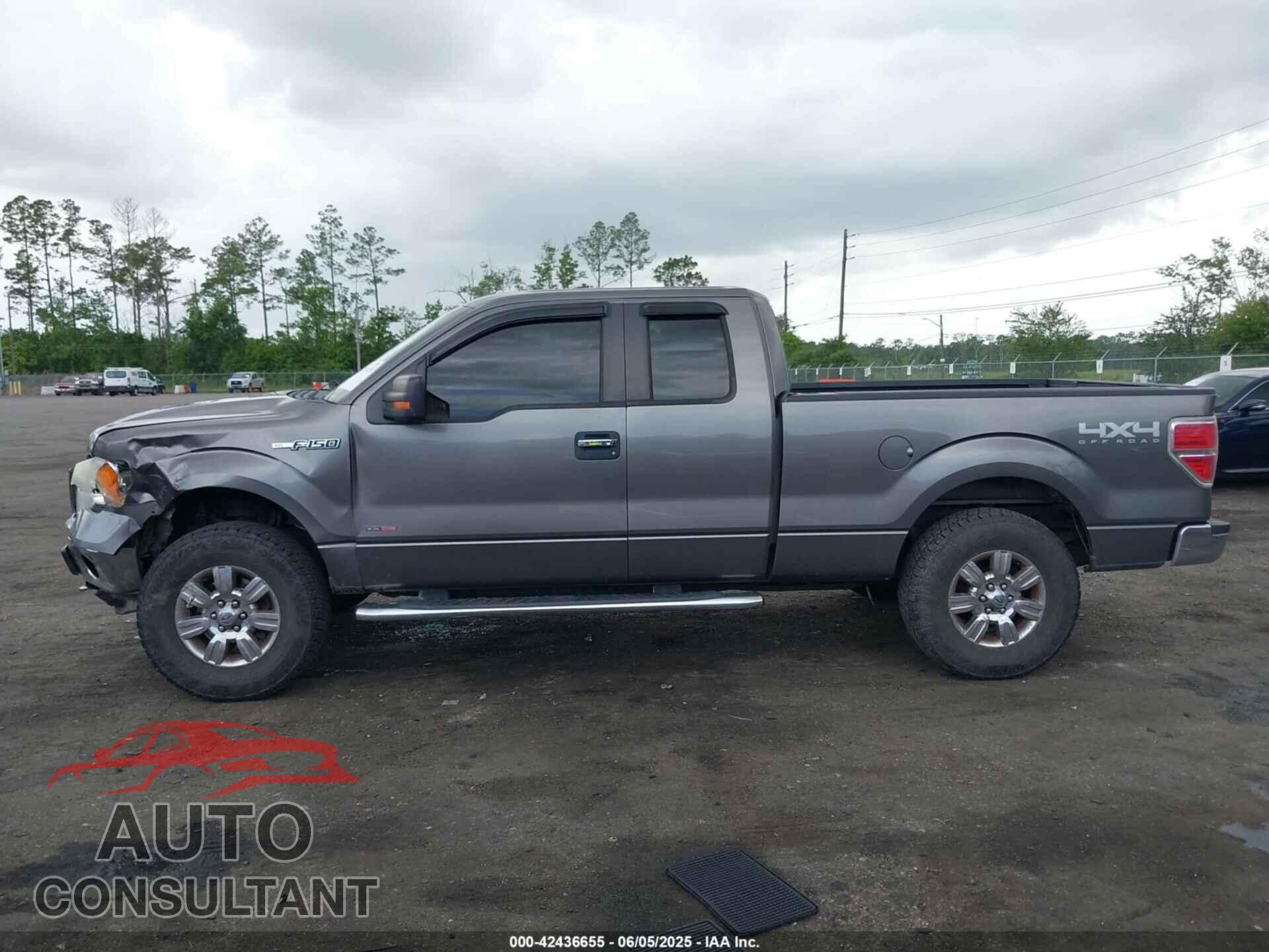 FORD F-150 2011 - 1FTFX1EF0BFB60419