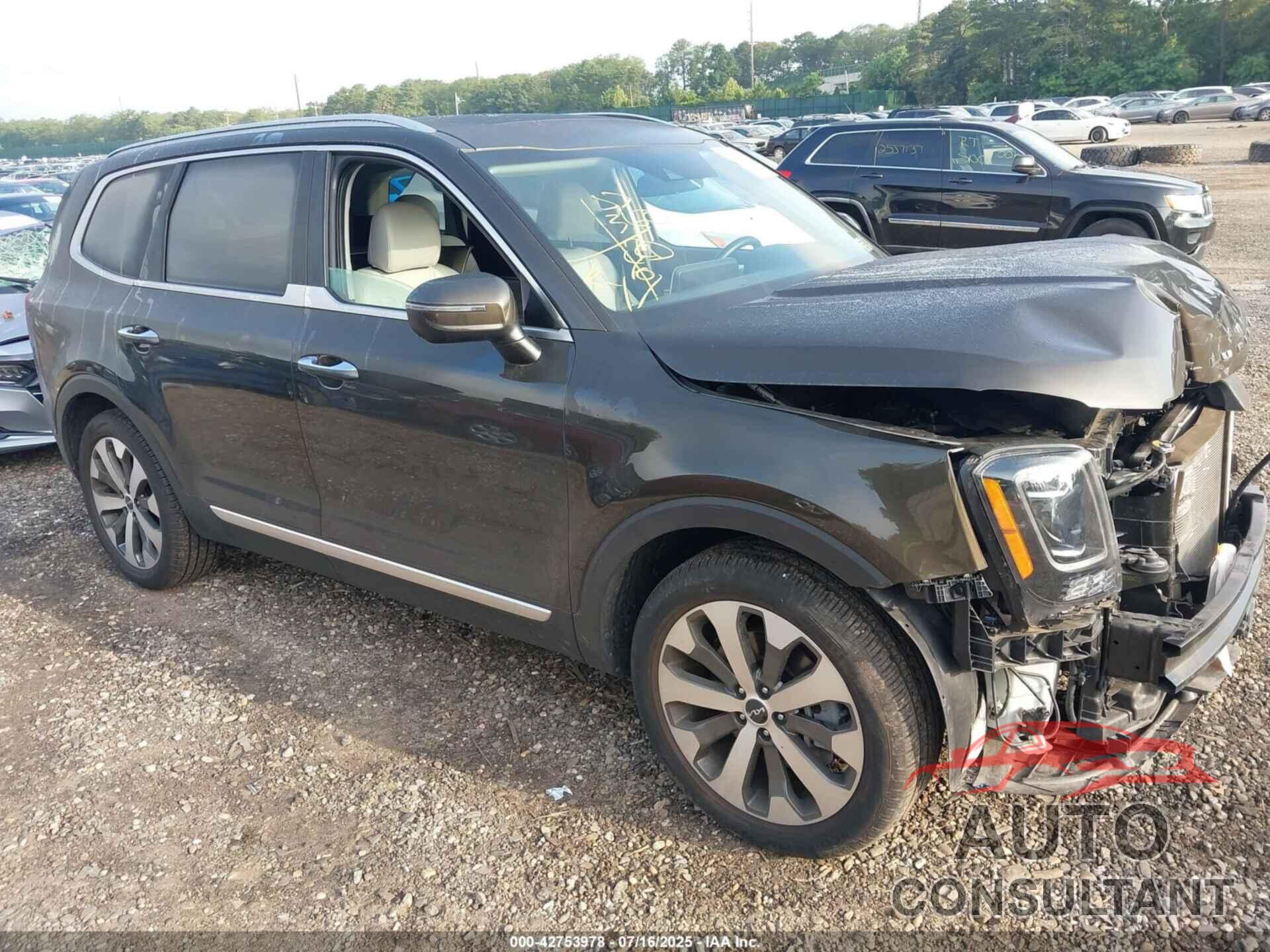 KIA TELLURIDE 2022 - 5XYP6DHC3NG263488