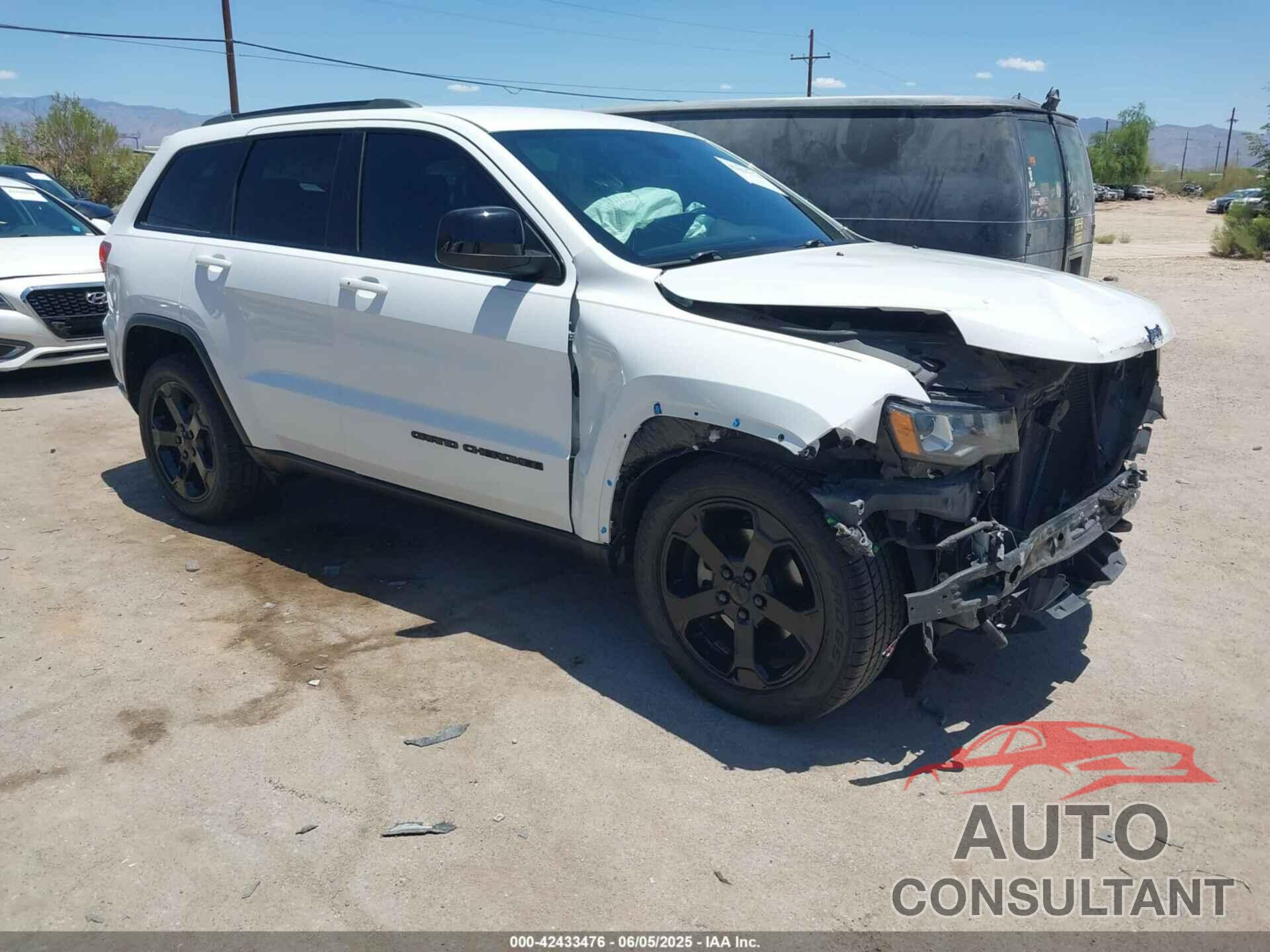 JEEP GRAND CHEROKEE 2019 - 1C4RJEAG8KC672676