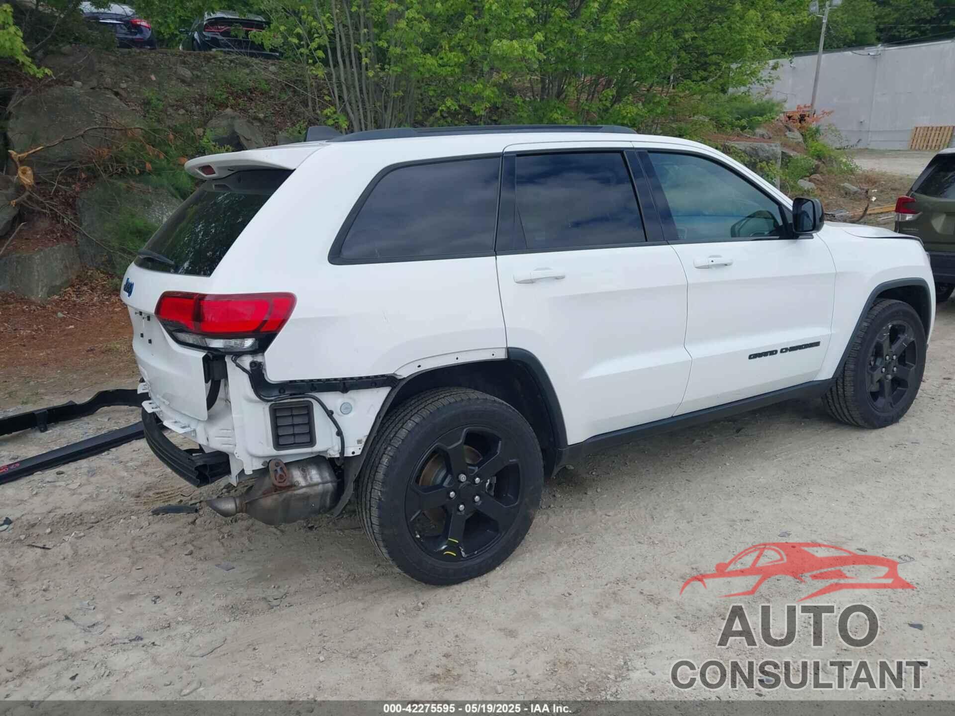 JEEP GRAND CHEROKEE 2019 - 1C4RJFAG8KC620471
