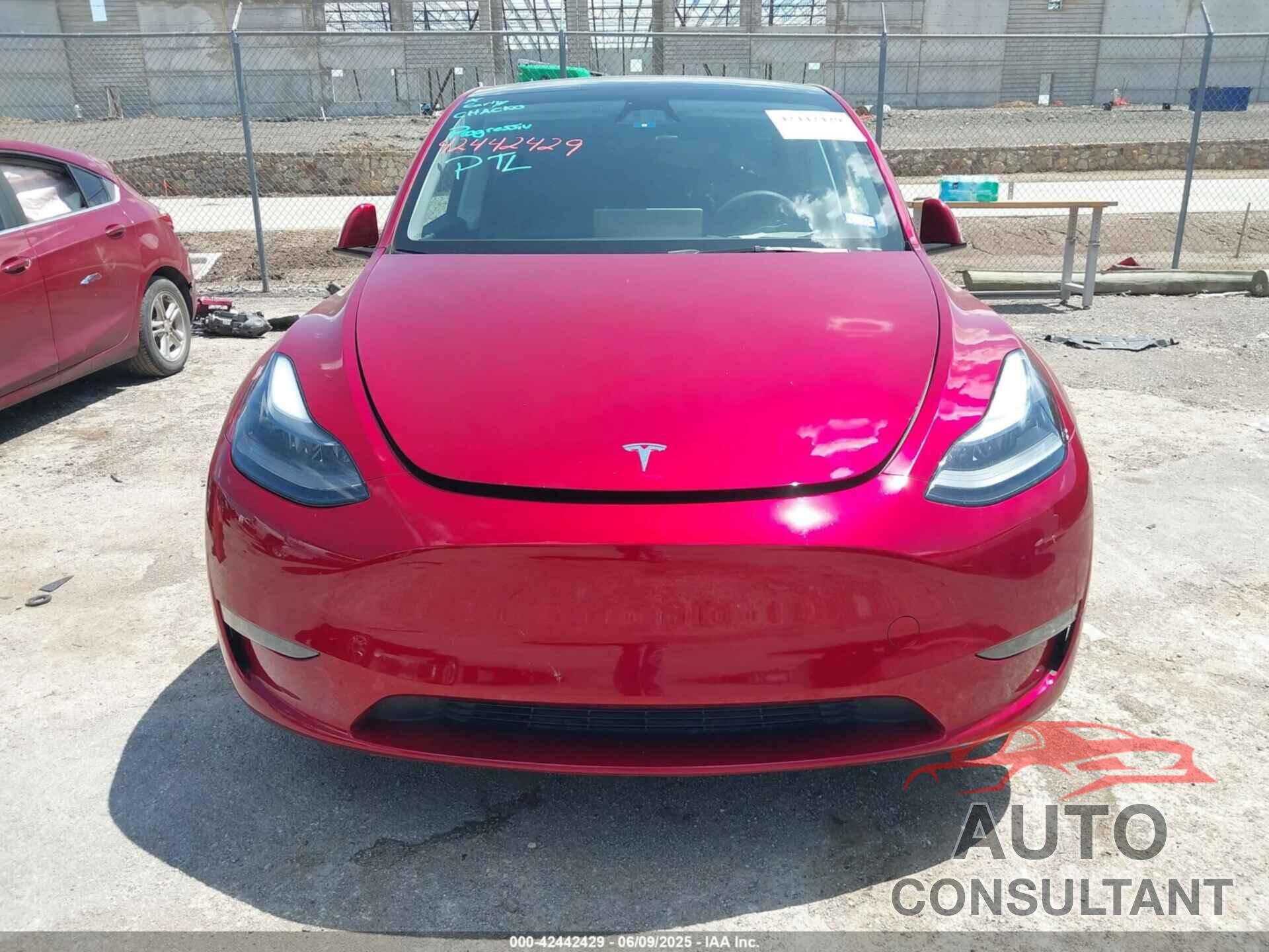 TESLA MODEL Y 2024 - 7SAYGDEE2RA281209