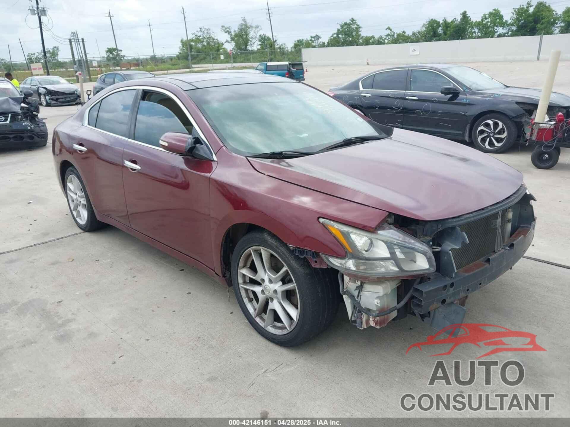 NISSAN MAXIMA 2009 - 1N4AA51E89C841882