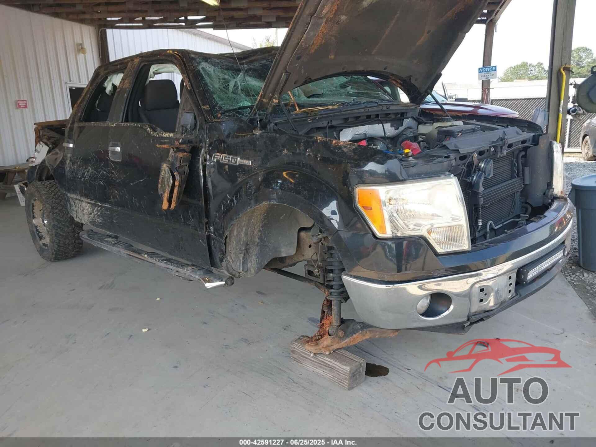 FORD F150 2012 - 1FTFW1CF1CFA08916