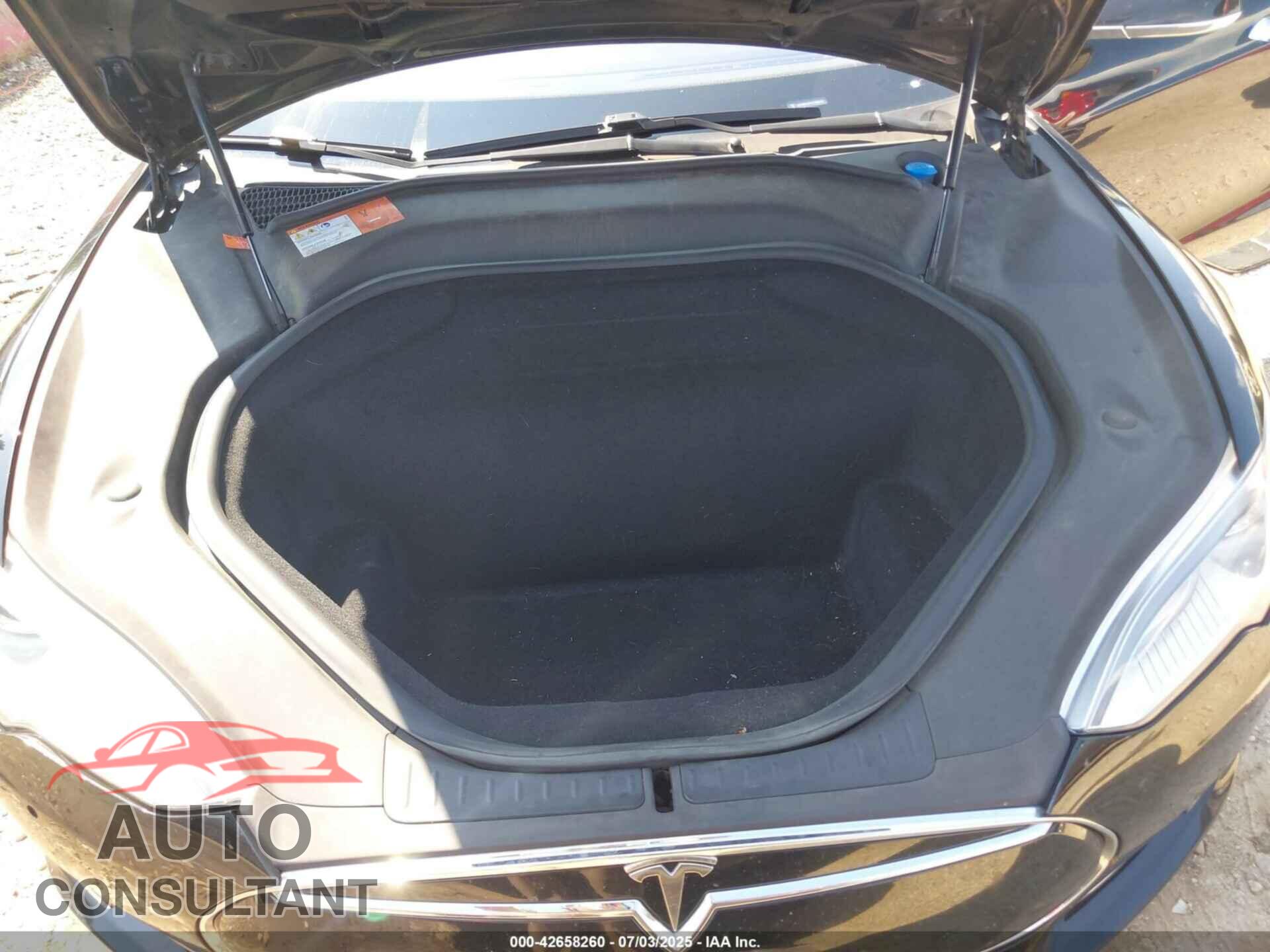 TESLA MODEL S 2015 - 5YJSA1S21FF096872