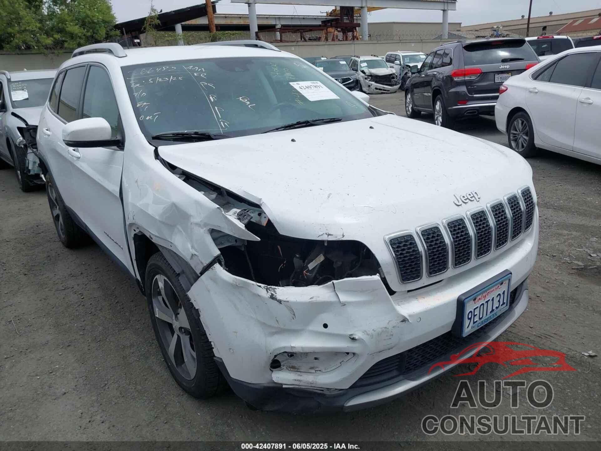 JEEP CHEROKEE 2019 - 1C4PJLDB5KD332729