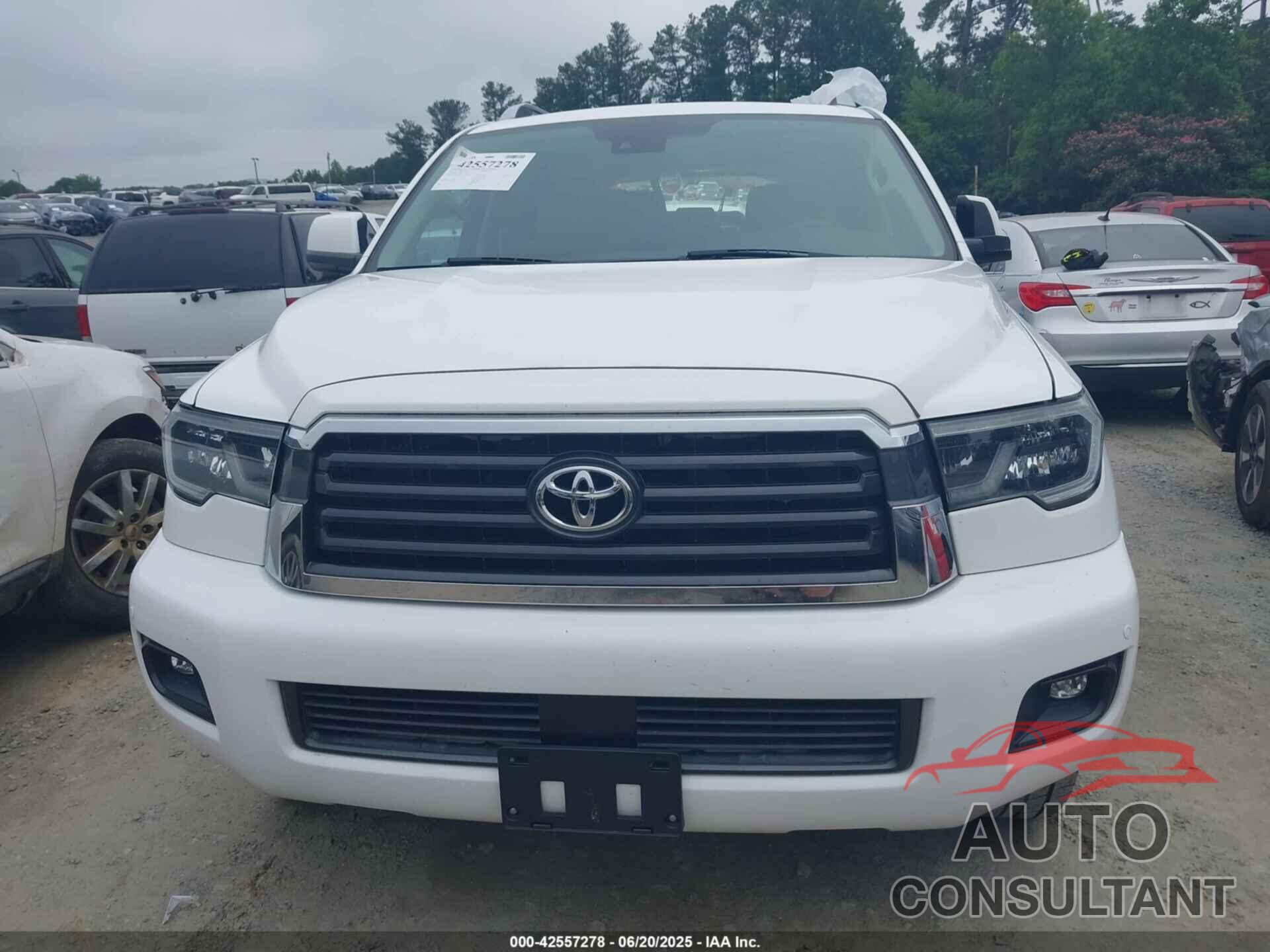TOYOTA SEQUOIA 2019 - 5TDBY5G16KS170151