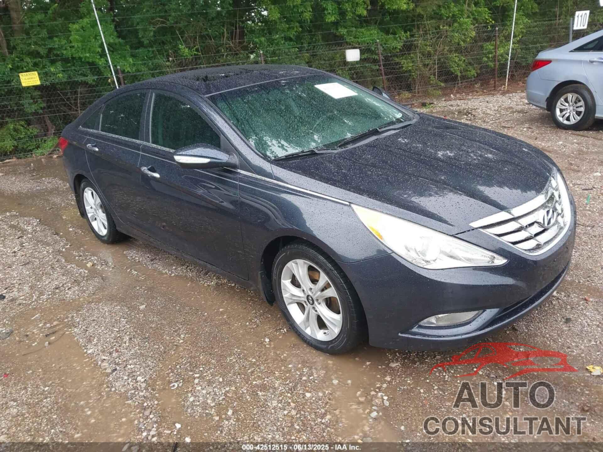 HYUNDAI SONATA 2013 - 5NPEC4AC2DH603201